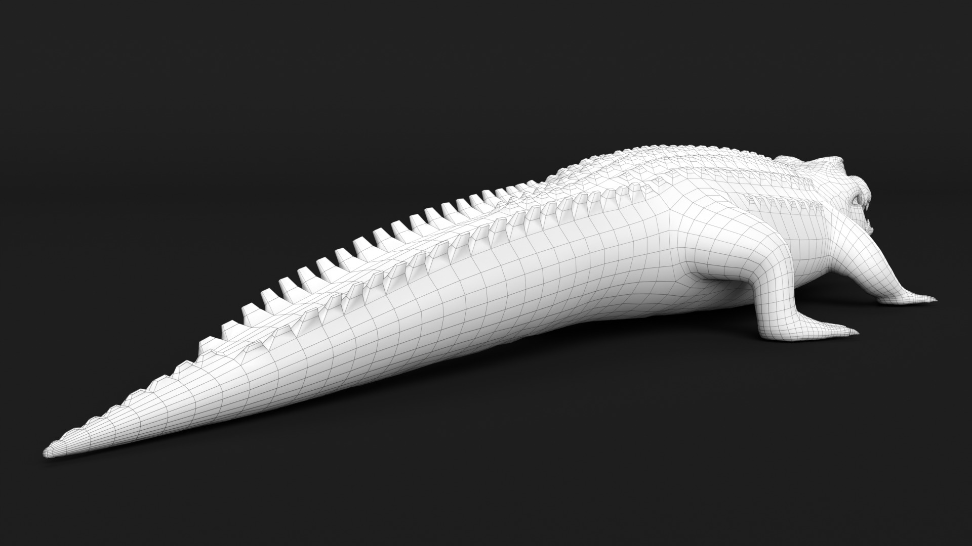 Crocodile Animated 3D model_24