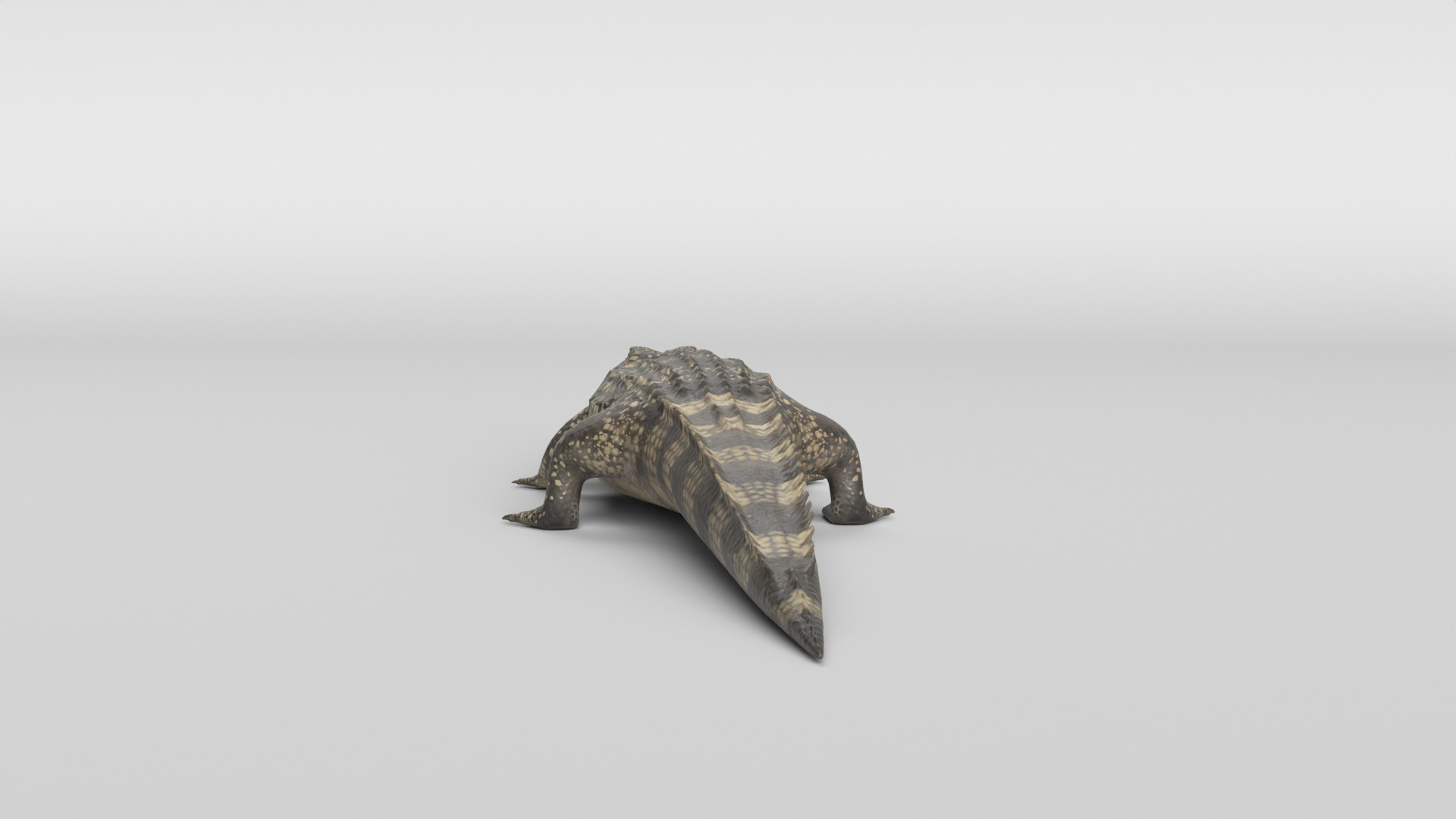 Crocodile Animated 3D model_12