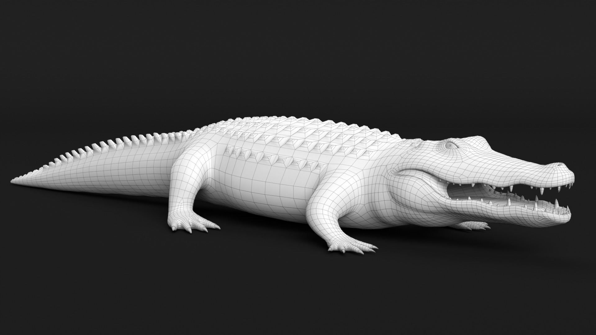Crocodile Animated 3D model_23