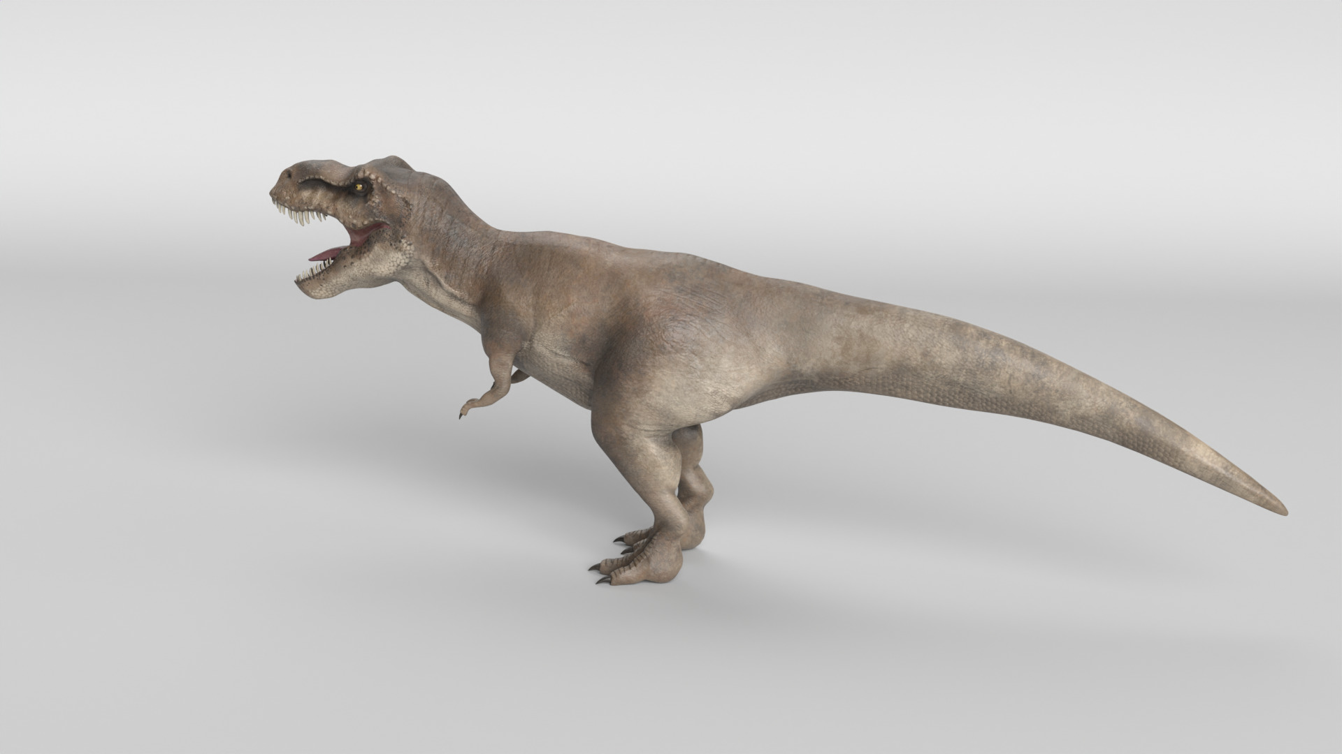Tyrannosaurus Rex 3D model_7