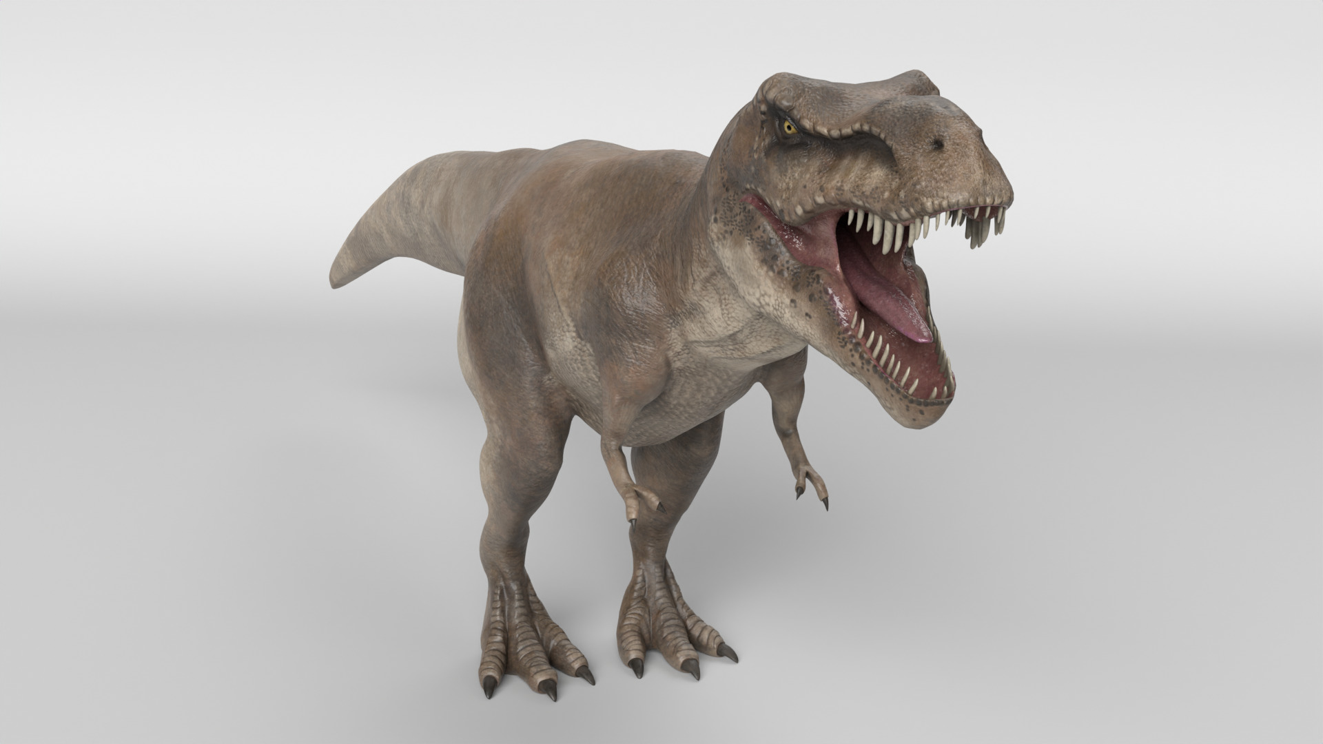 Tyrannosaurus Rex 3D model_2