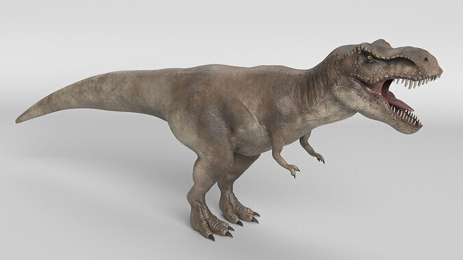 Tyrannosaurus Rex 3D model