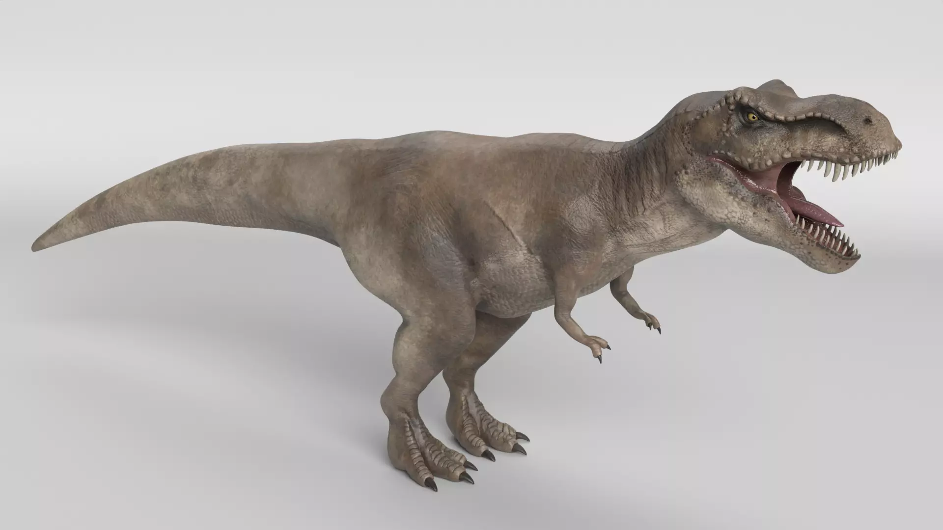 Tyrannosaurus Rex 3D model_0