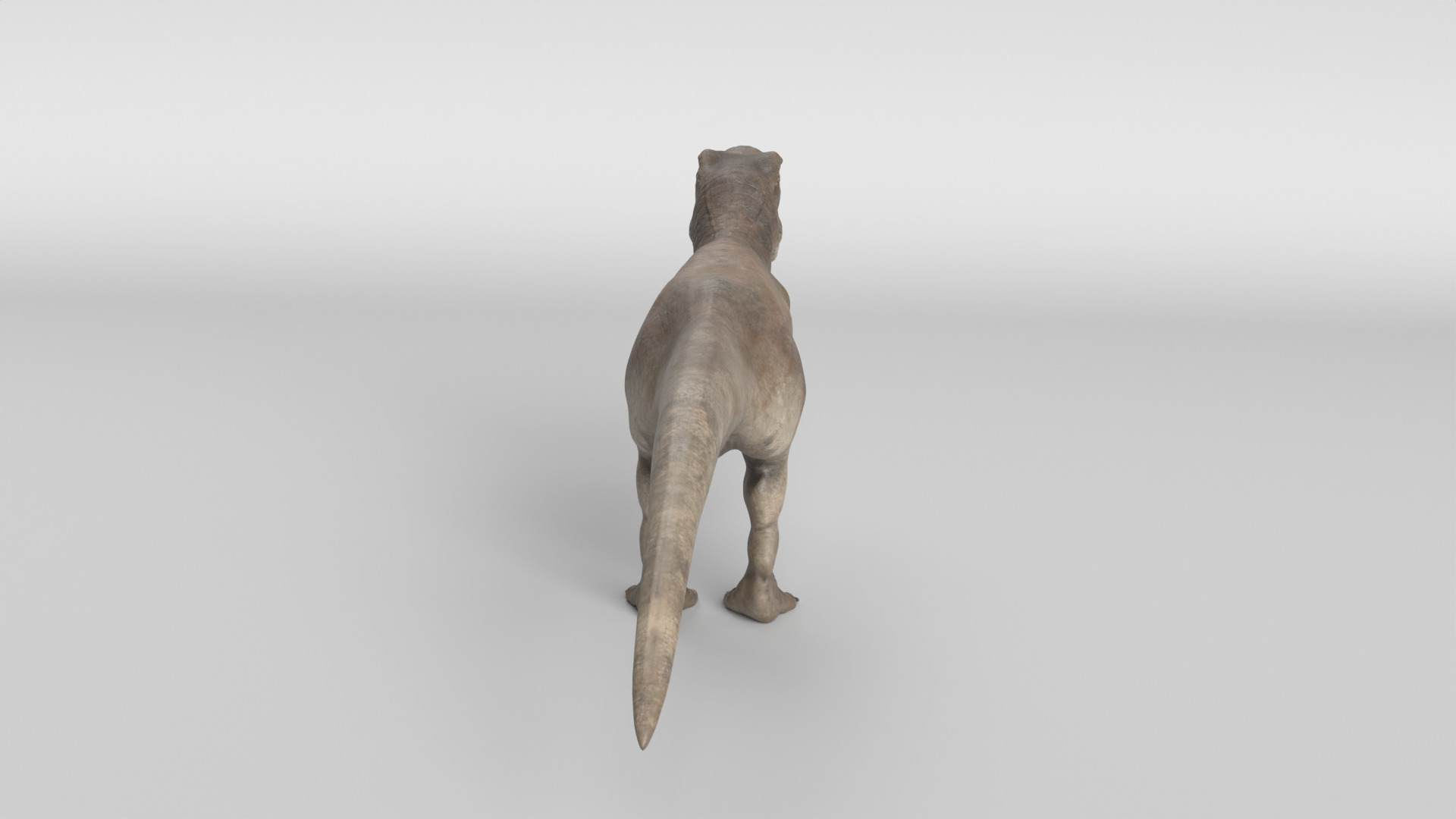 Tyrannosaurus Rex 3D model_5