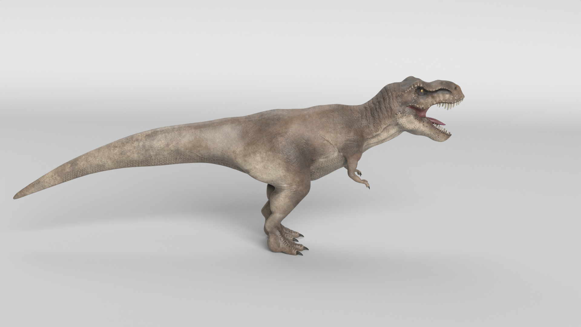 Tyrannosaurus Rex 3D model_3