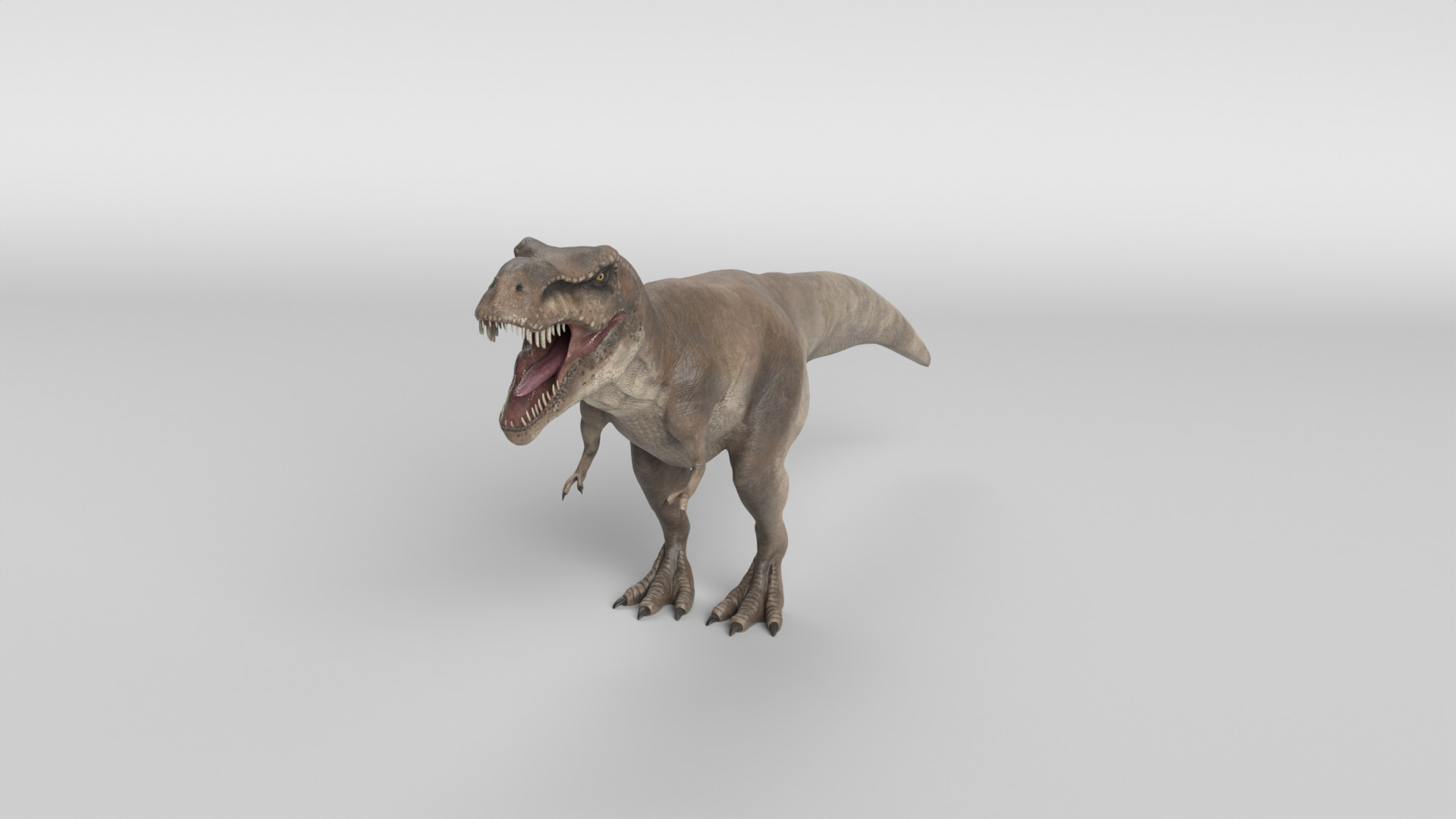 Tyrannosaurus Rex 3D model_9