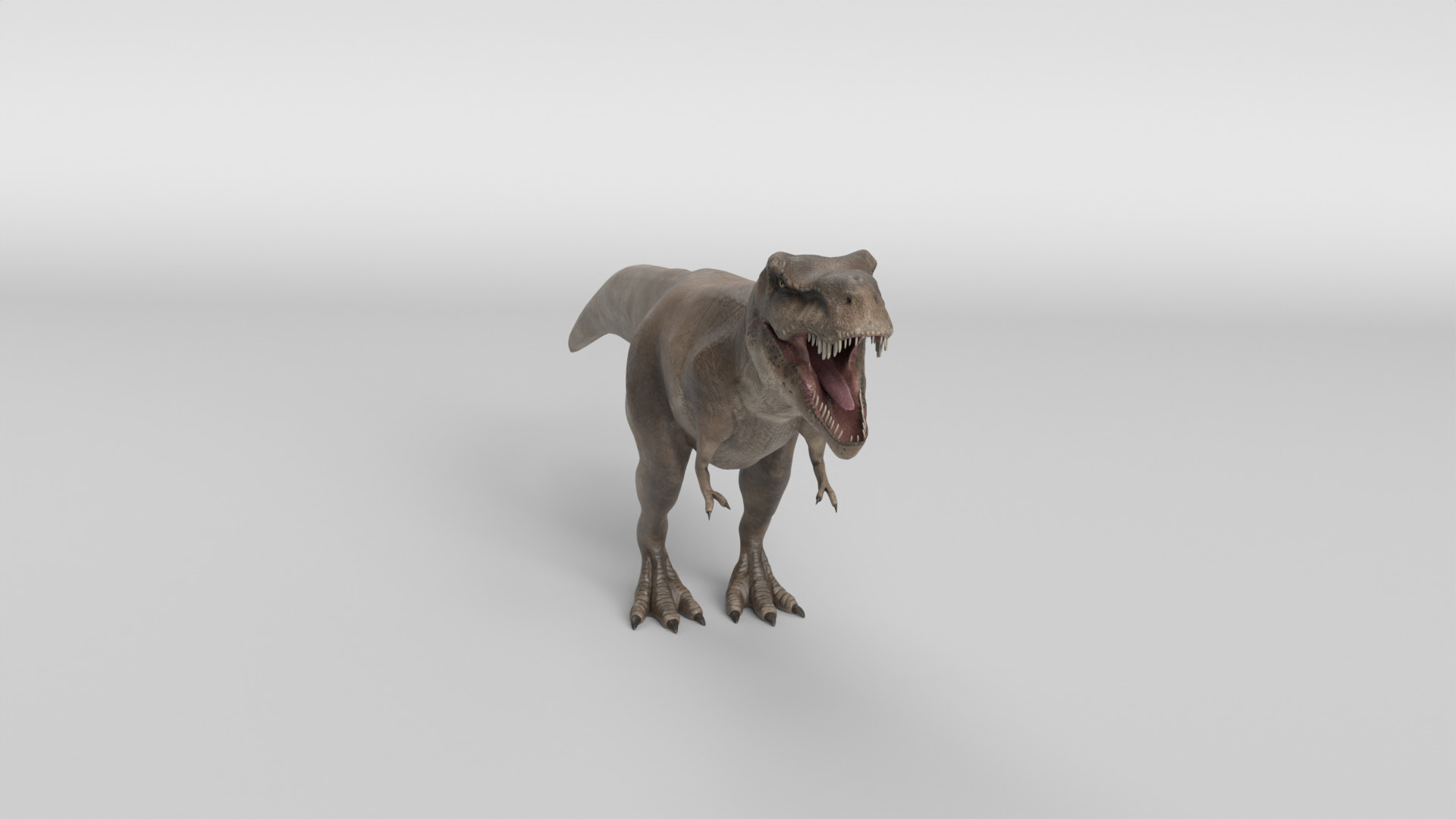Tyrannosaurus Rex 3D model_10