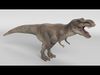 Tyrannosaurus Rex 3D model_1