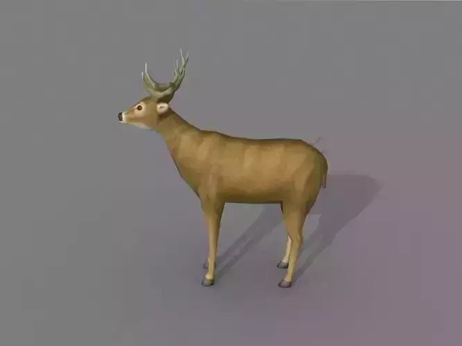 a deer Free 3D model