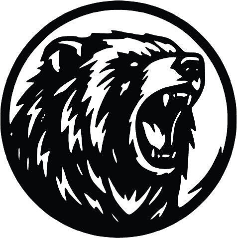 Bear Head Wall Decor 3D print model