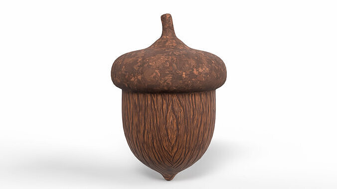 Acorn Low-poly 3D model