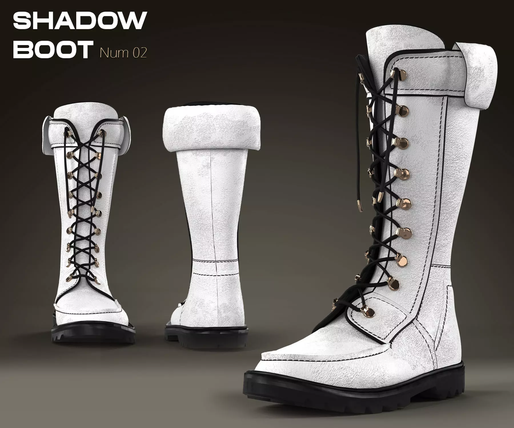 Shadow Boot High-Quality 3D Boots 02 3D model_0