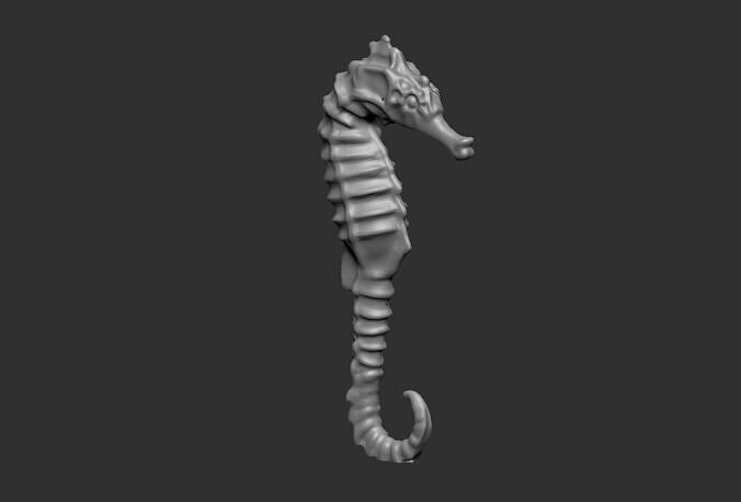sea horse 3D print model