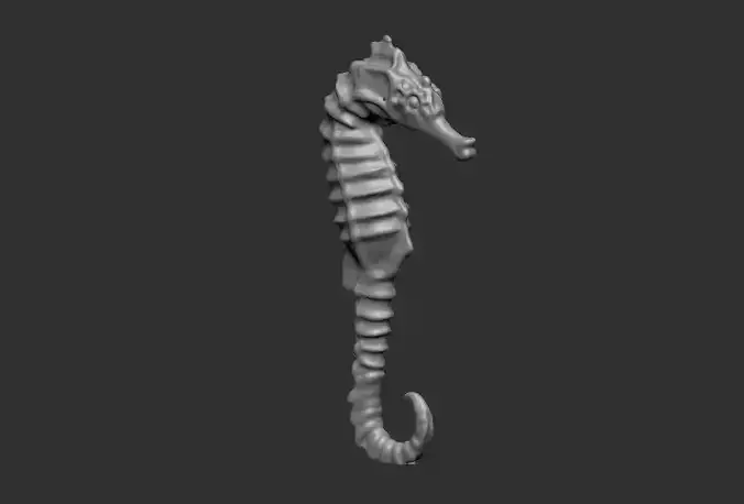 sea horse