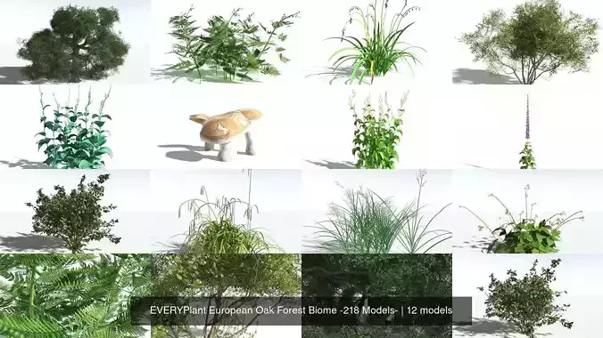 EVERYPlant European Oak Forest Biome -218 Models- 3D Model Collection
