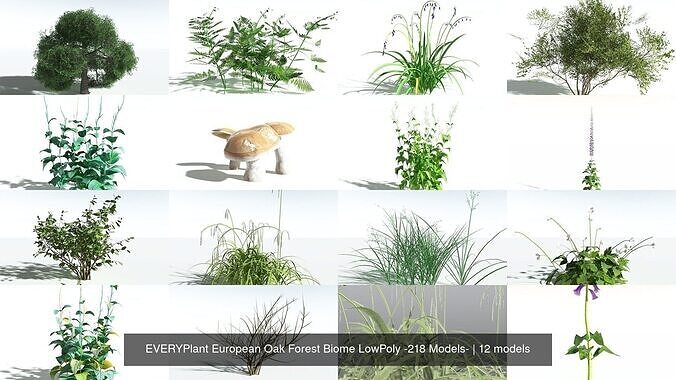EVERYPlant European Oak Forest Biome LowPoly -218 Models- 3D Model Collection