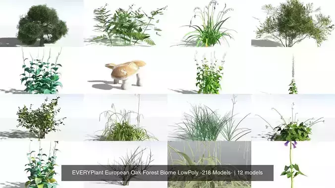 EVERYPlant European Oak Forest Biome LowPoly -218 Models- 3D Model Collection