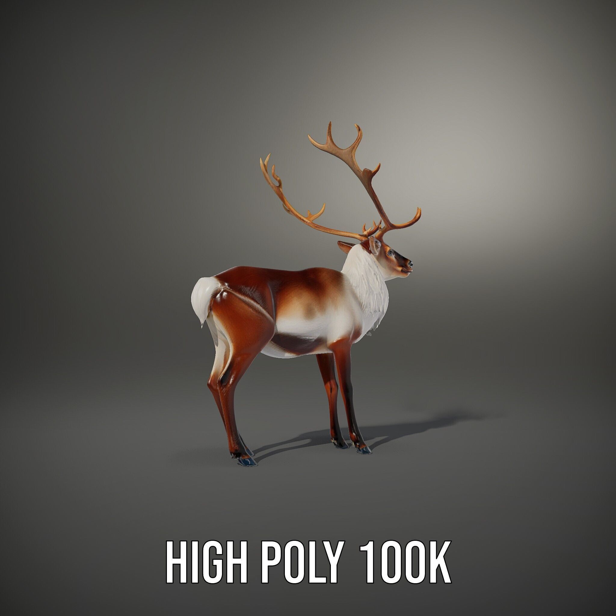 Elegant Reindeer Model Pack for D Environments Low-poly 3D model_15