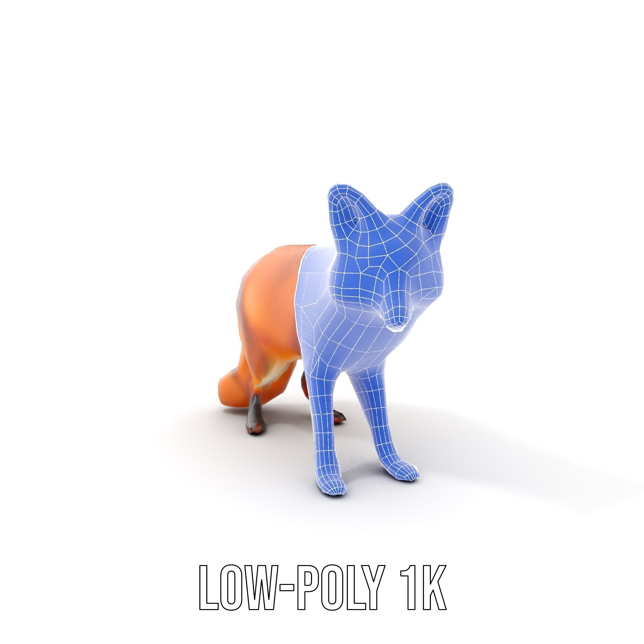 Realistic Fox Model Pack for D Rendering and Games Low-poly 3D model_20