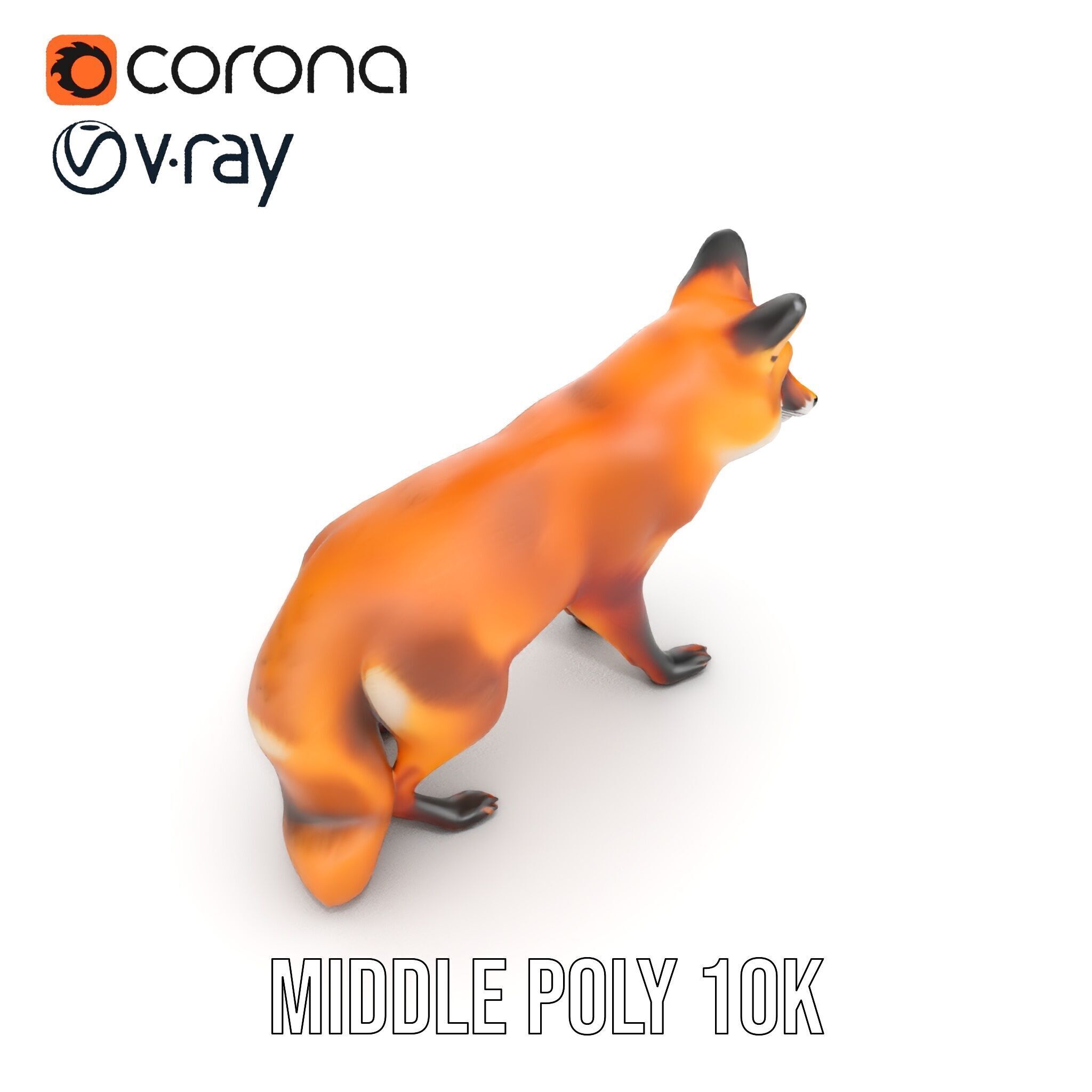 Realistic Fox Model Pack for D Rendering and Games Low-poly 3D model_12