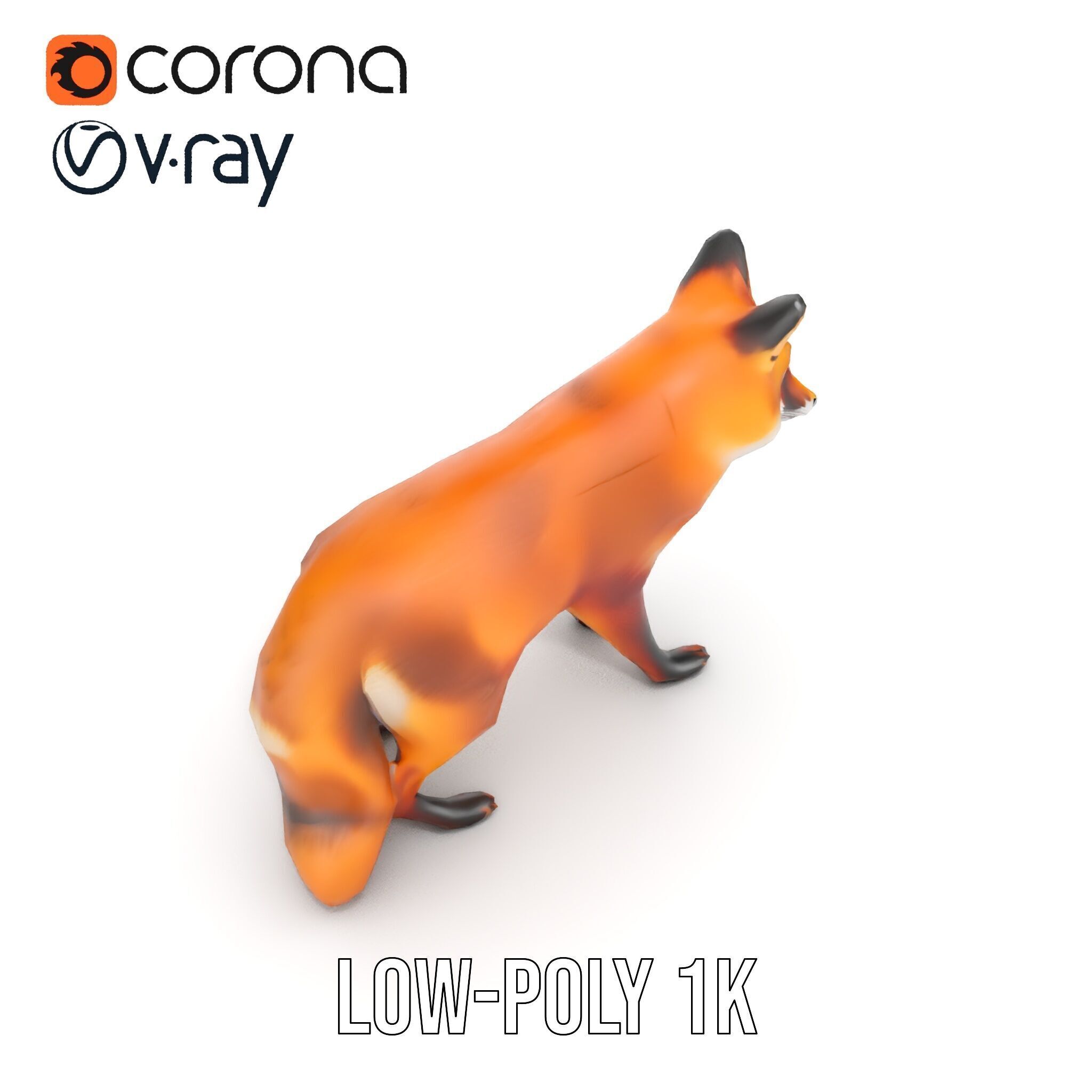Realistic Fox Model Pack for D Rendering and Games Low-poly 3D model_16
