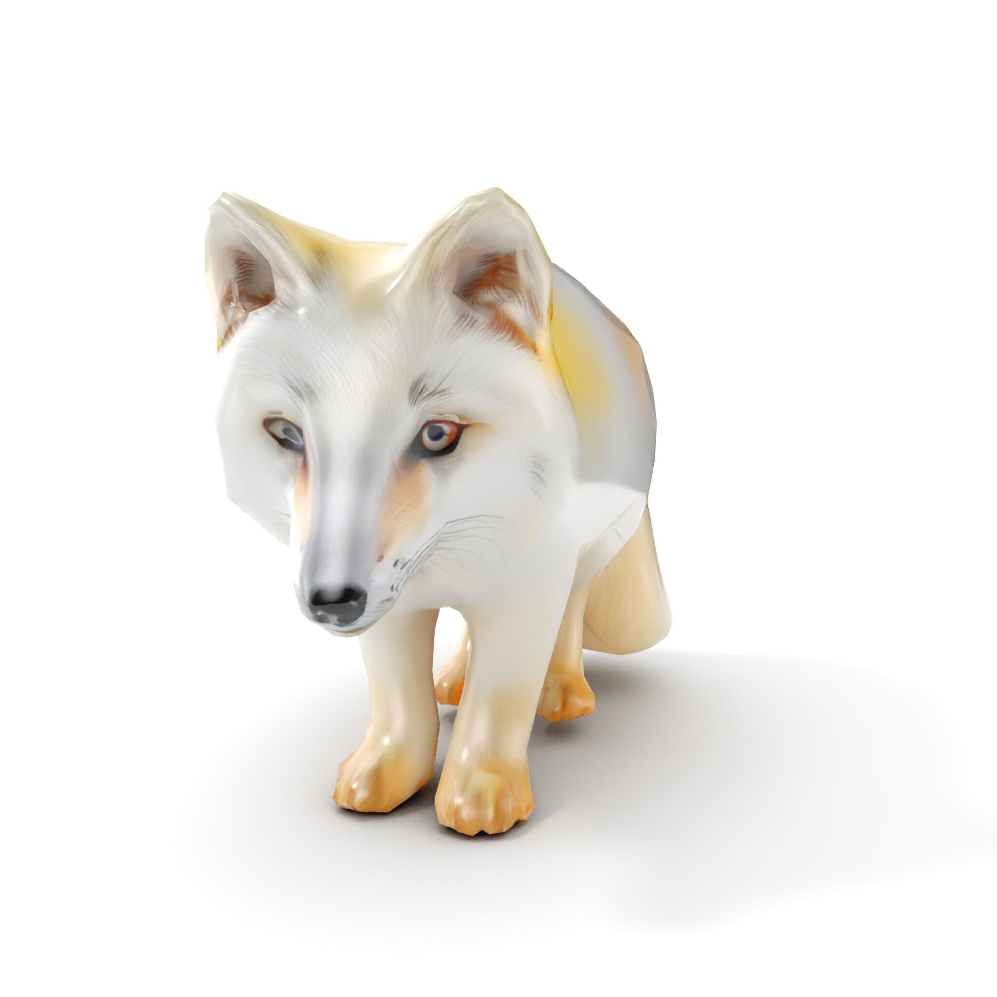 Arctic Fox D Model Pack Low-poly 3D model_14