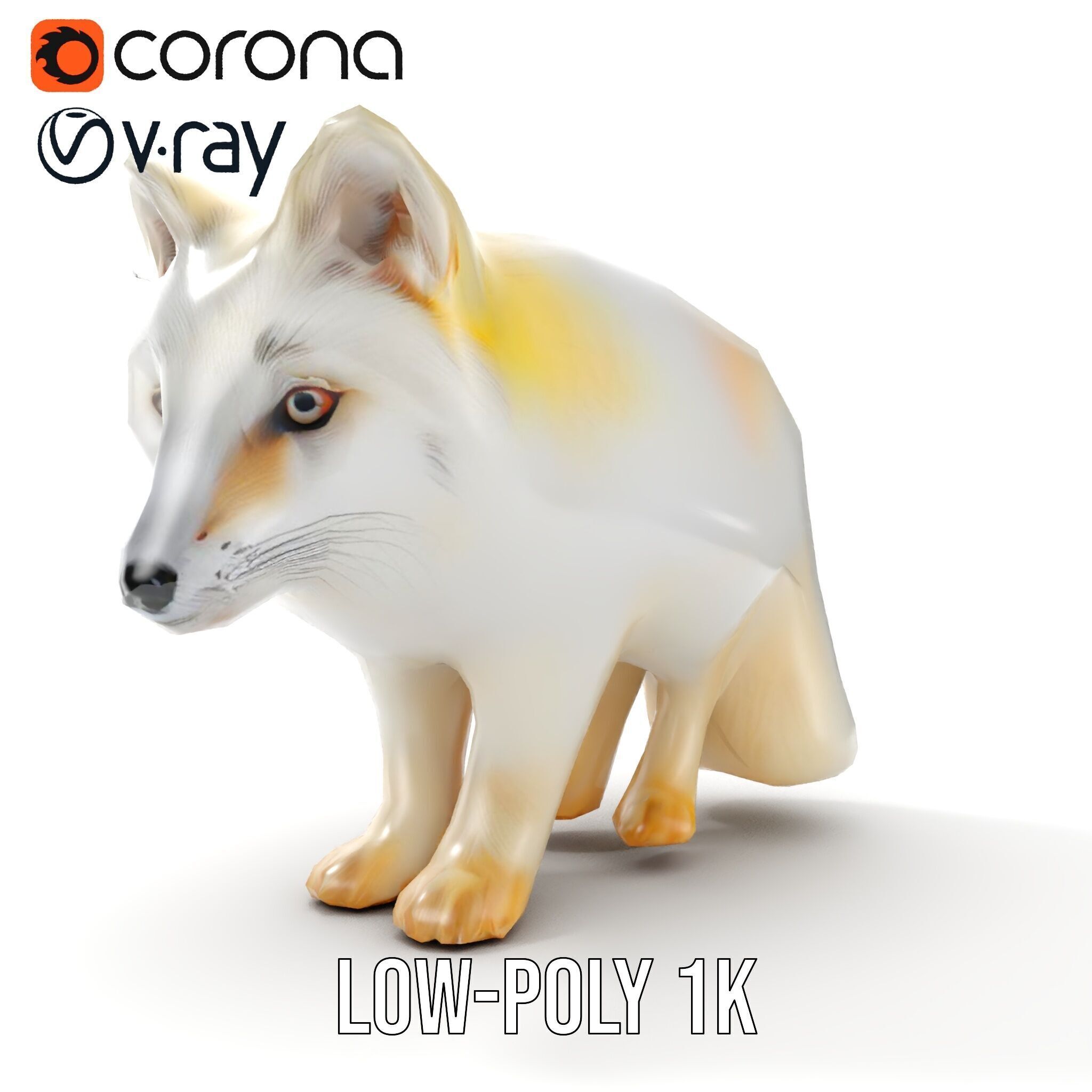 Arctic Fox D Model Pack Low-poly 3D model_11