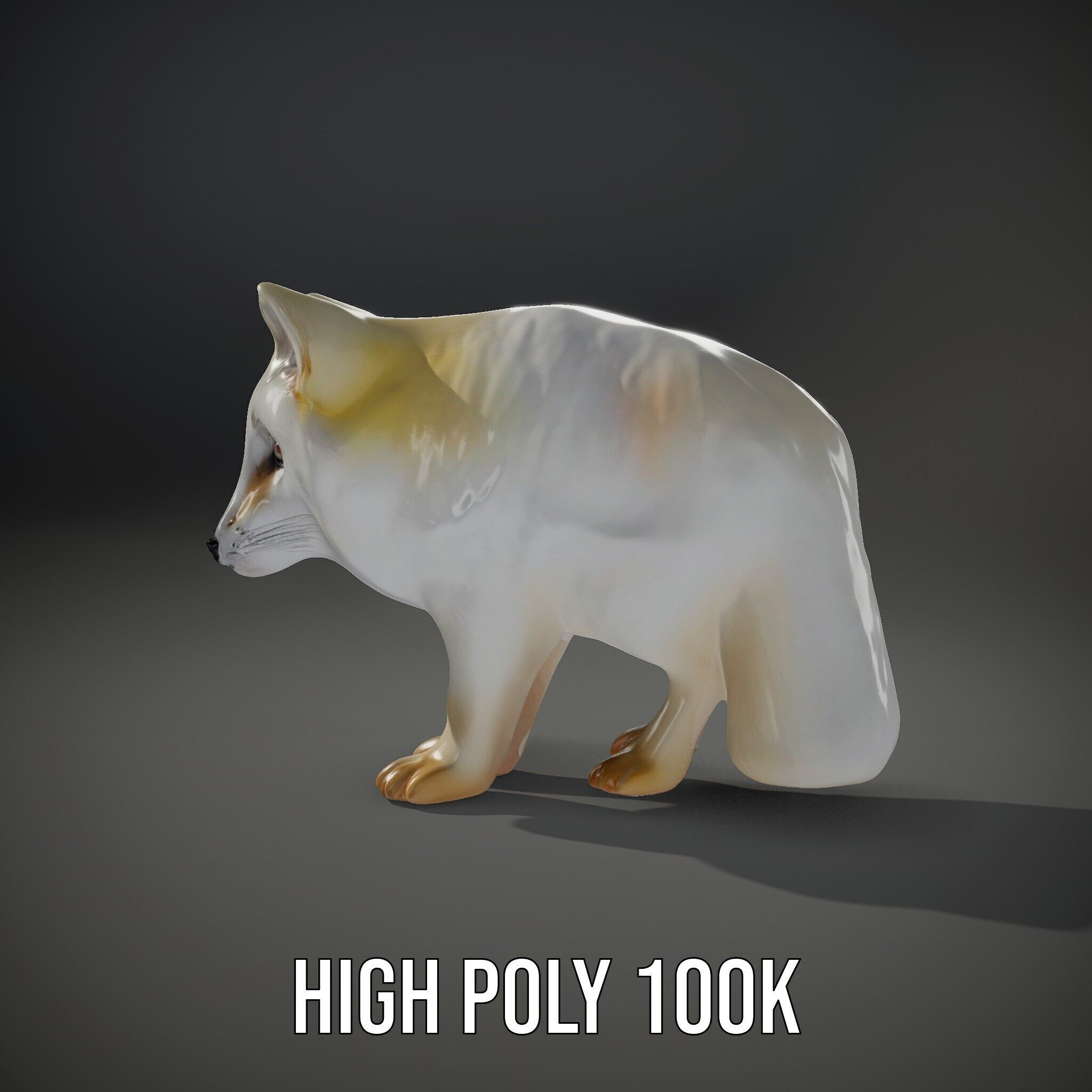 Arctic Fox D Model Pack Low-poly 3D model_15