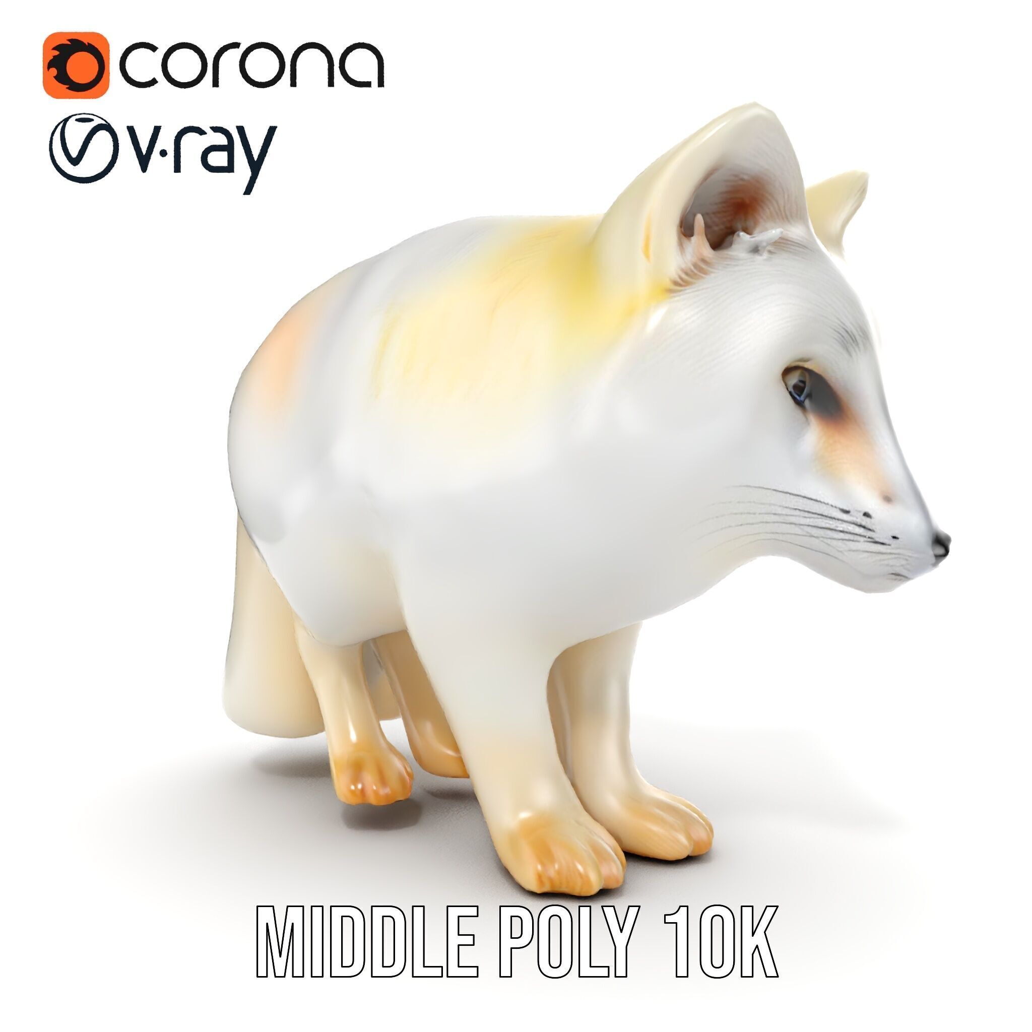 Arctic Fox D Model Pack Low-poly 3D model_29