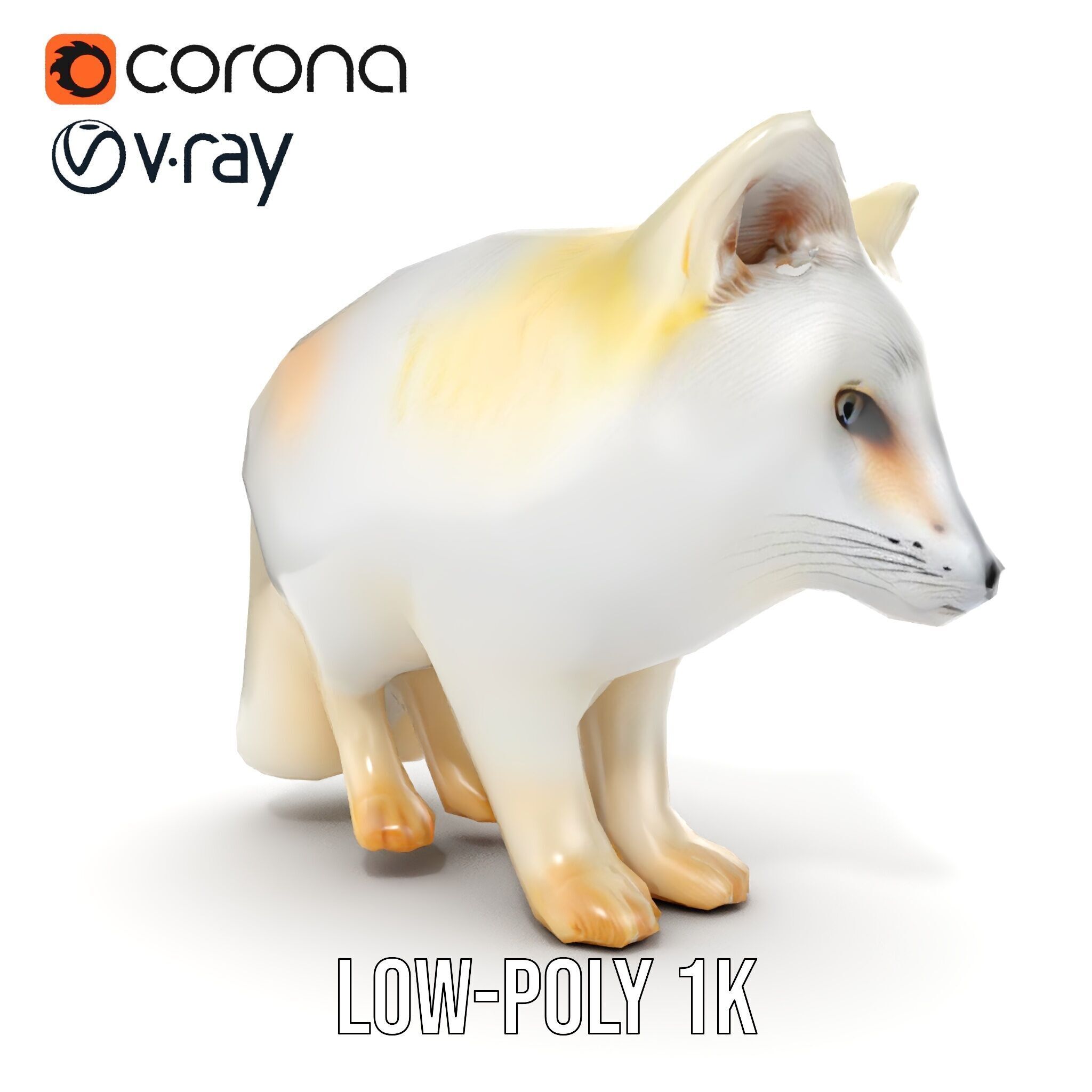 Arctic Fox D Model Pack Low-poly 3D model_22