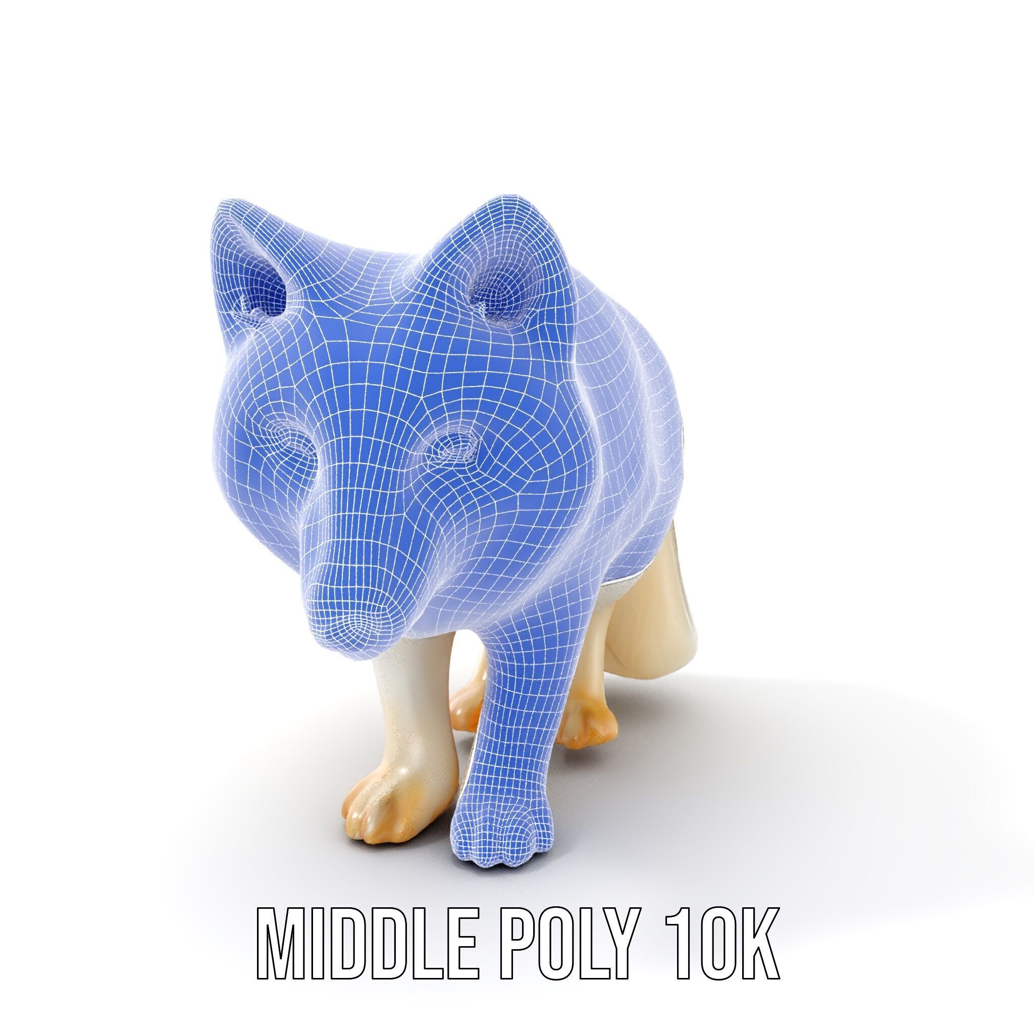 Arctic Fox D Model Pack Low-poly 3D model_24