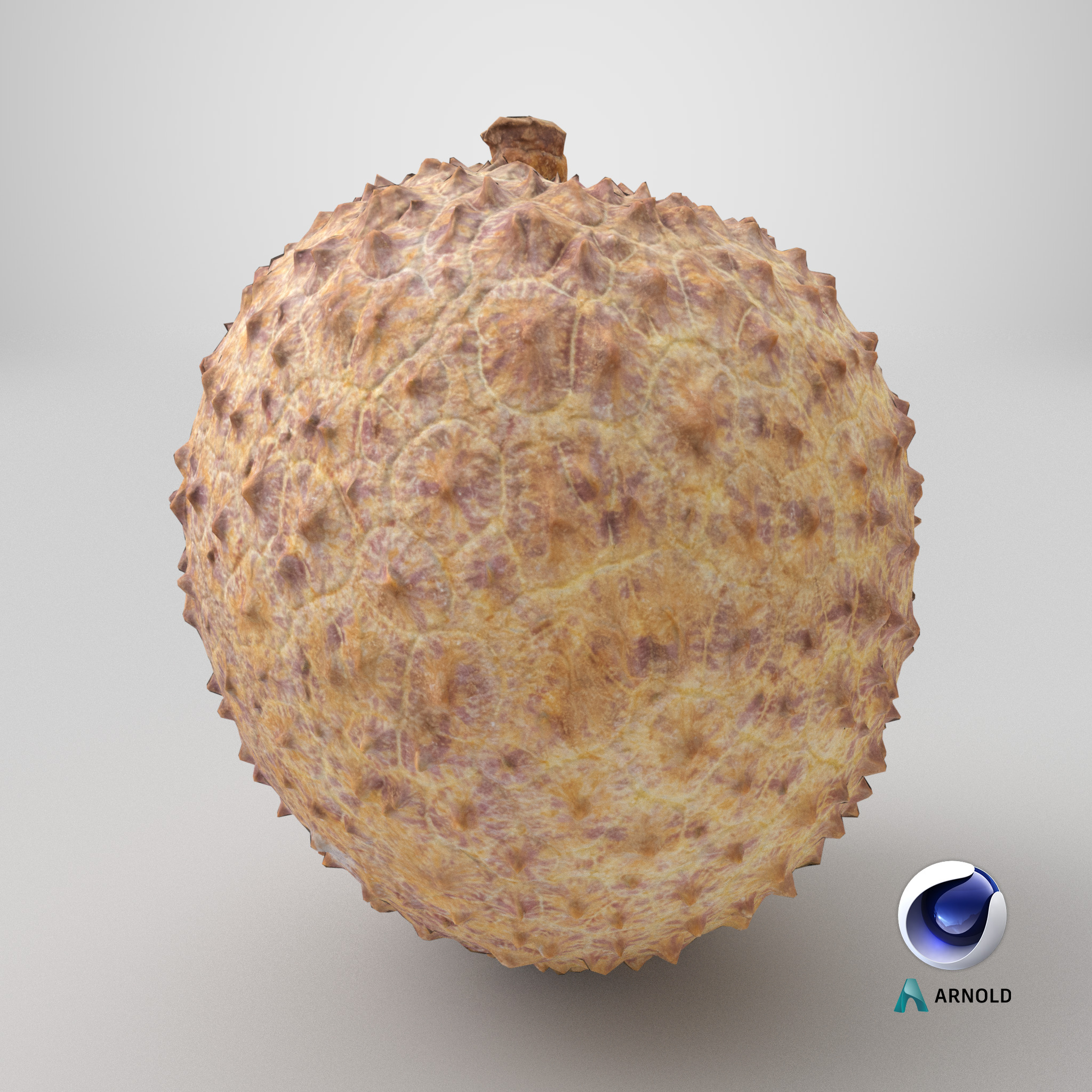 Lychee 001 Low-poly 3D model_7