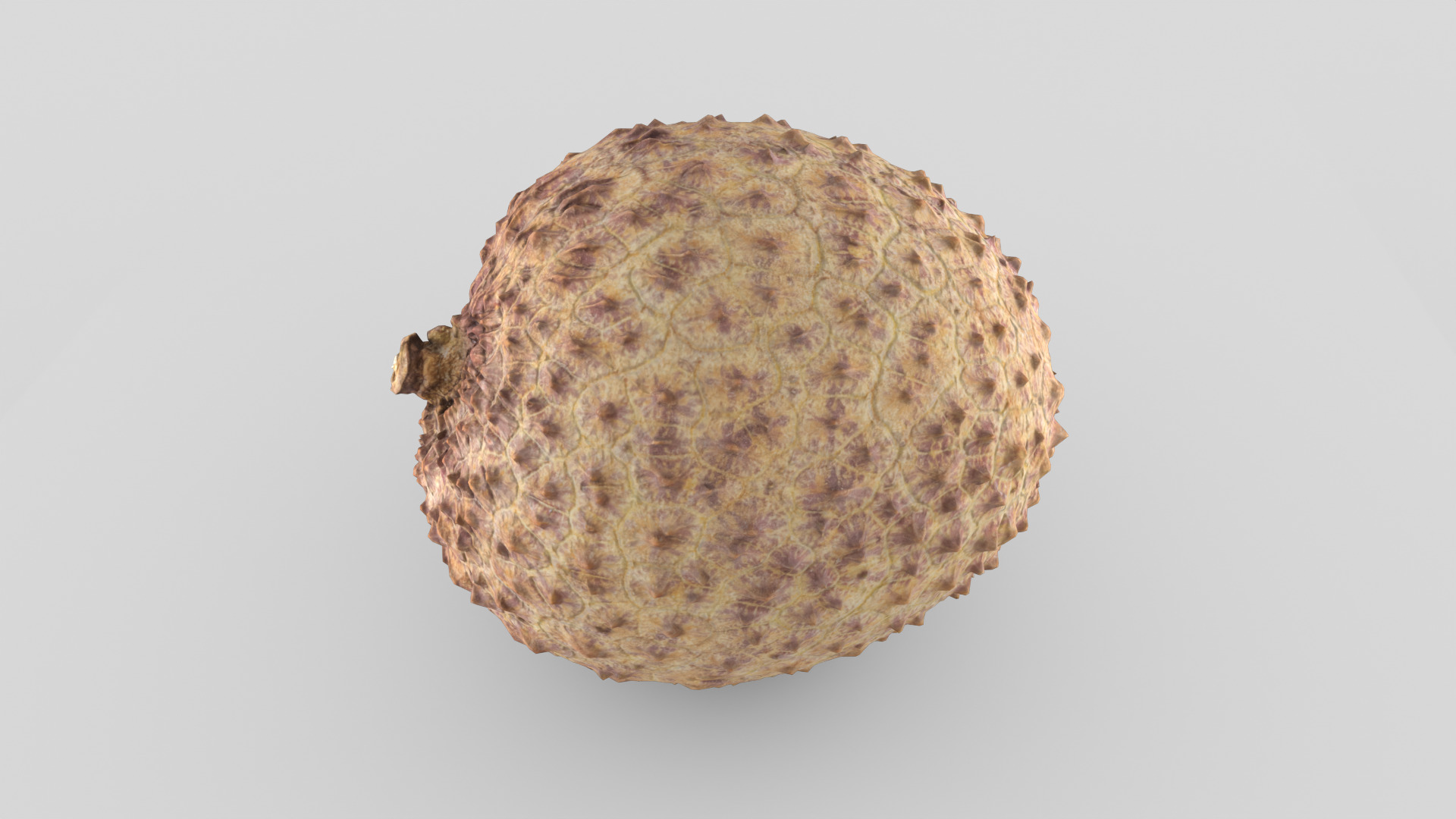 Lychee 001 Low-poly 3D model_3