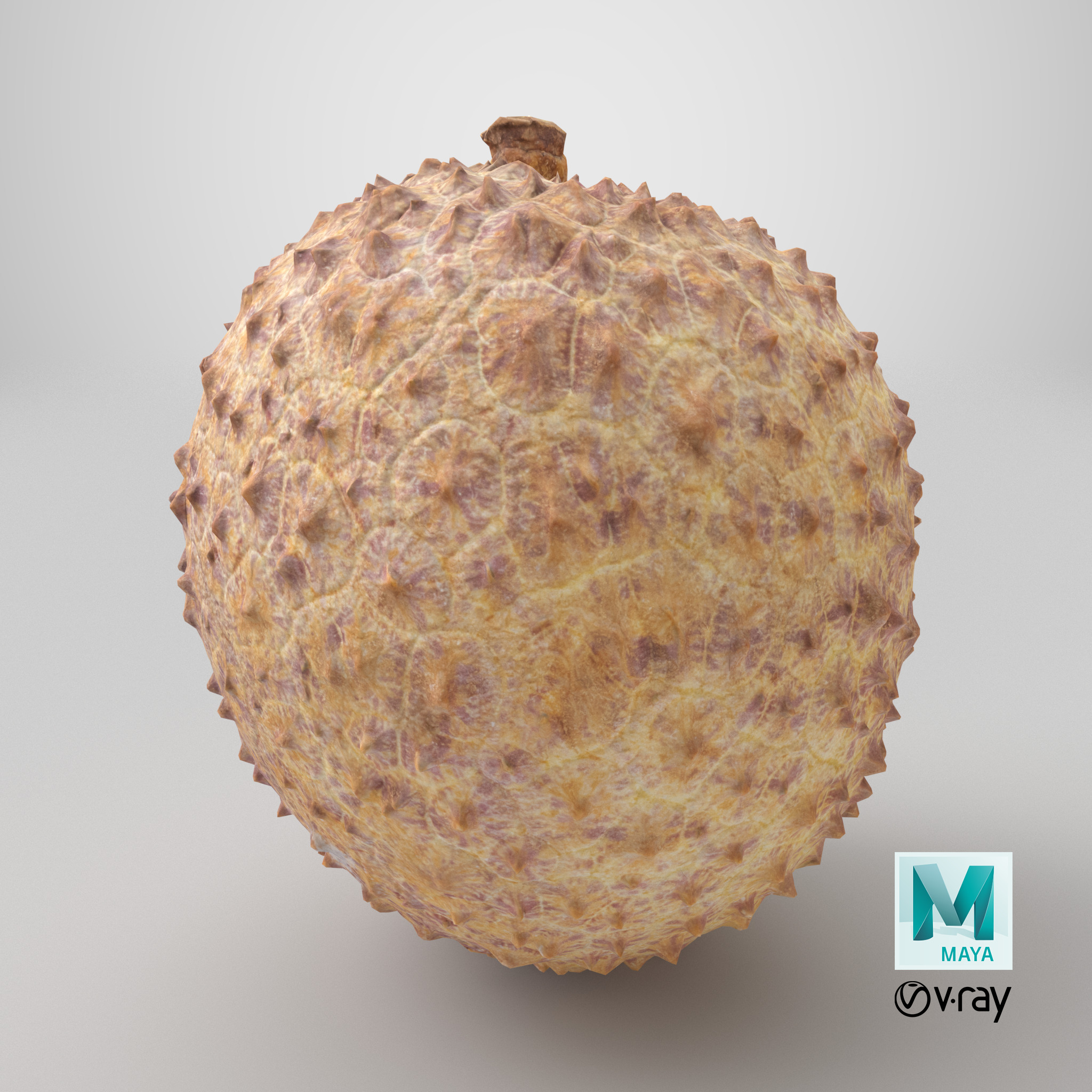 Lychee 001 Low-poly 3D model_13