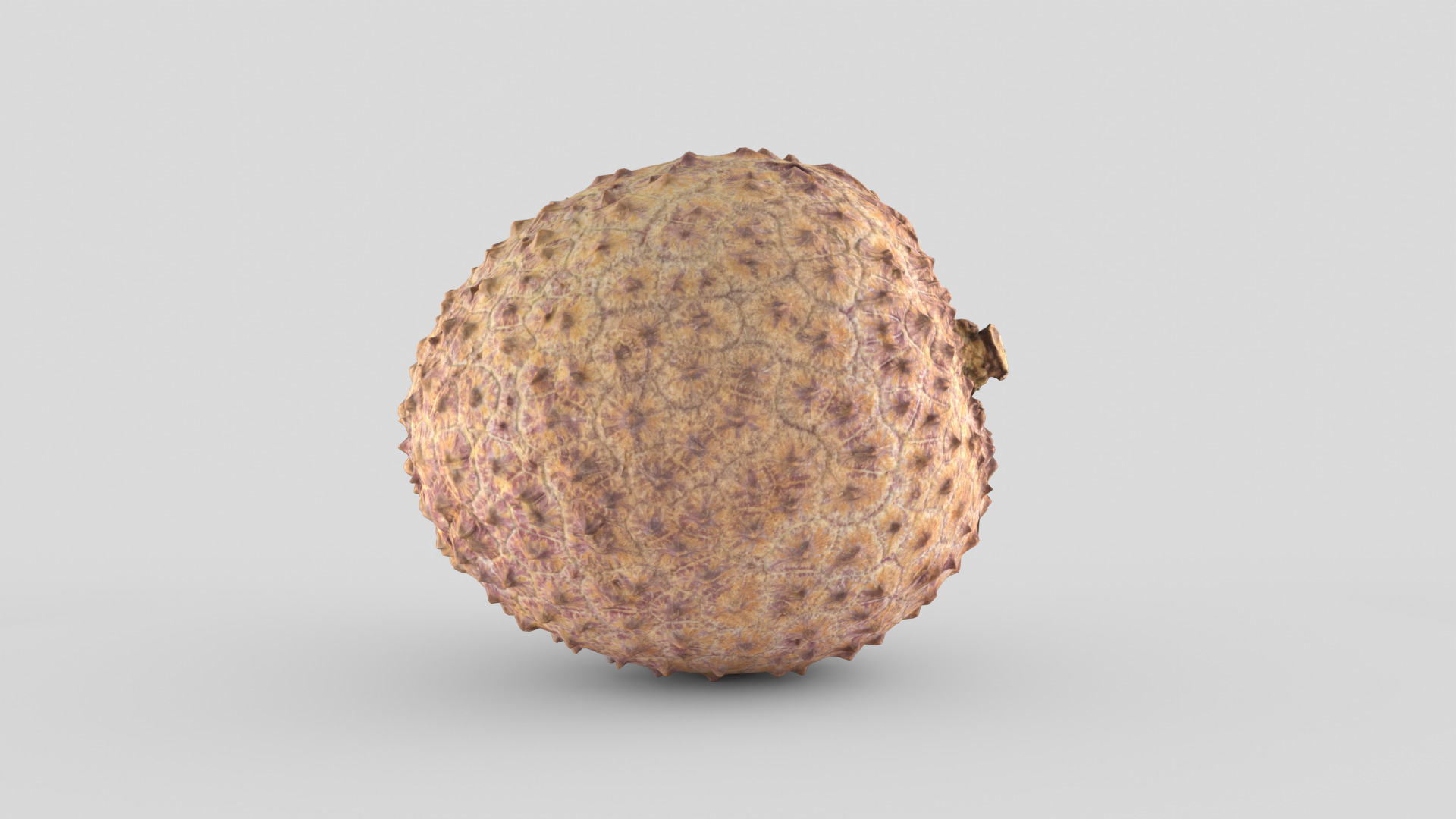 Lychee 001 Low-poly 3D model_5