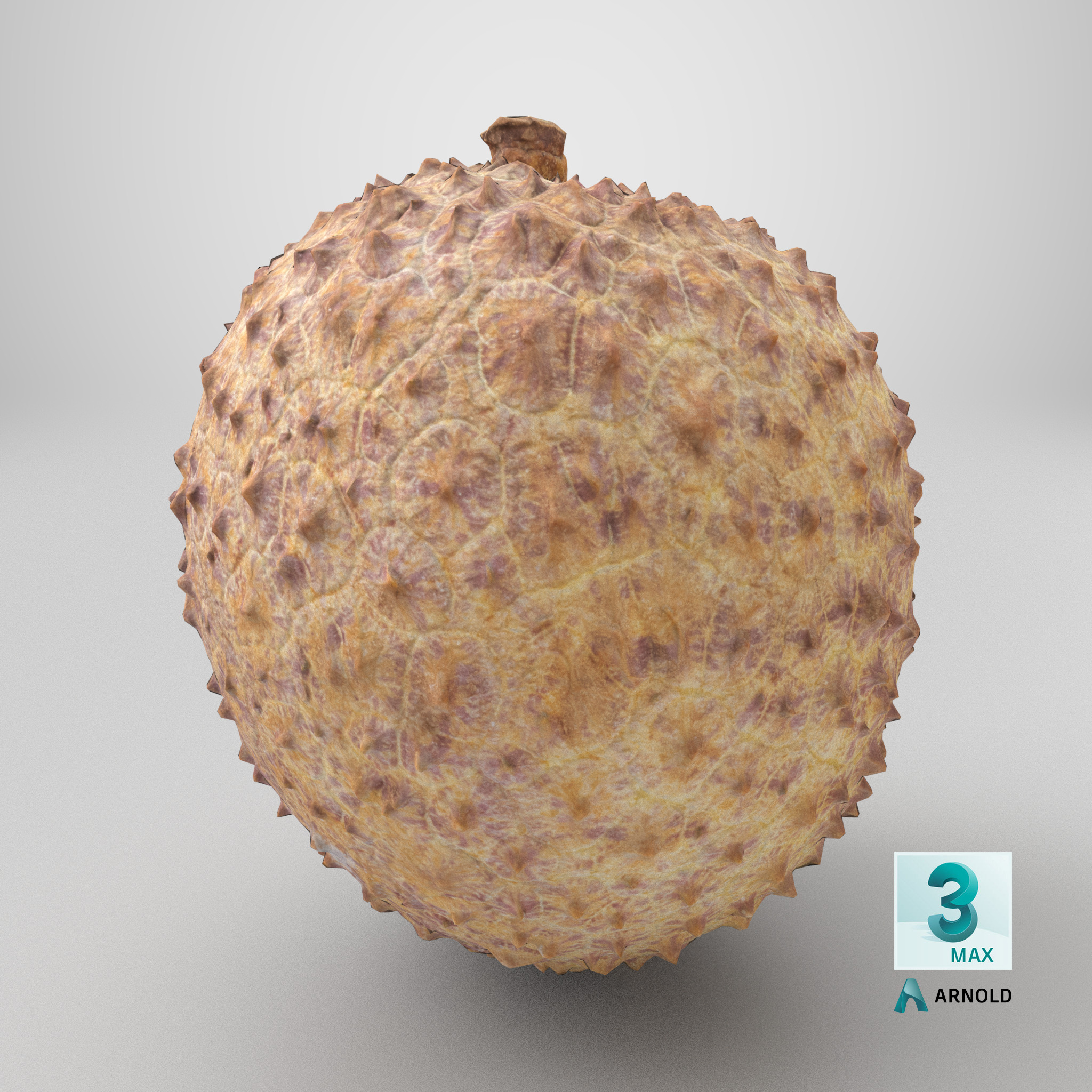 Lychee 001 Low-poly 3D model_9