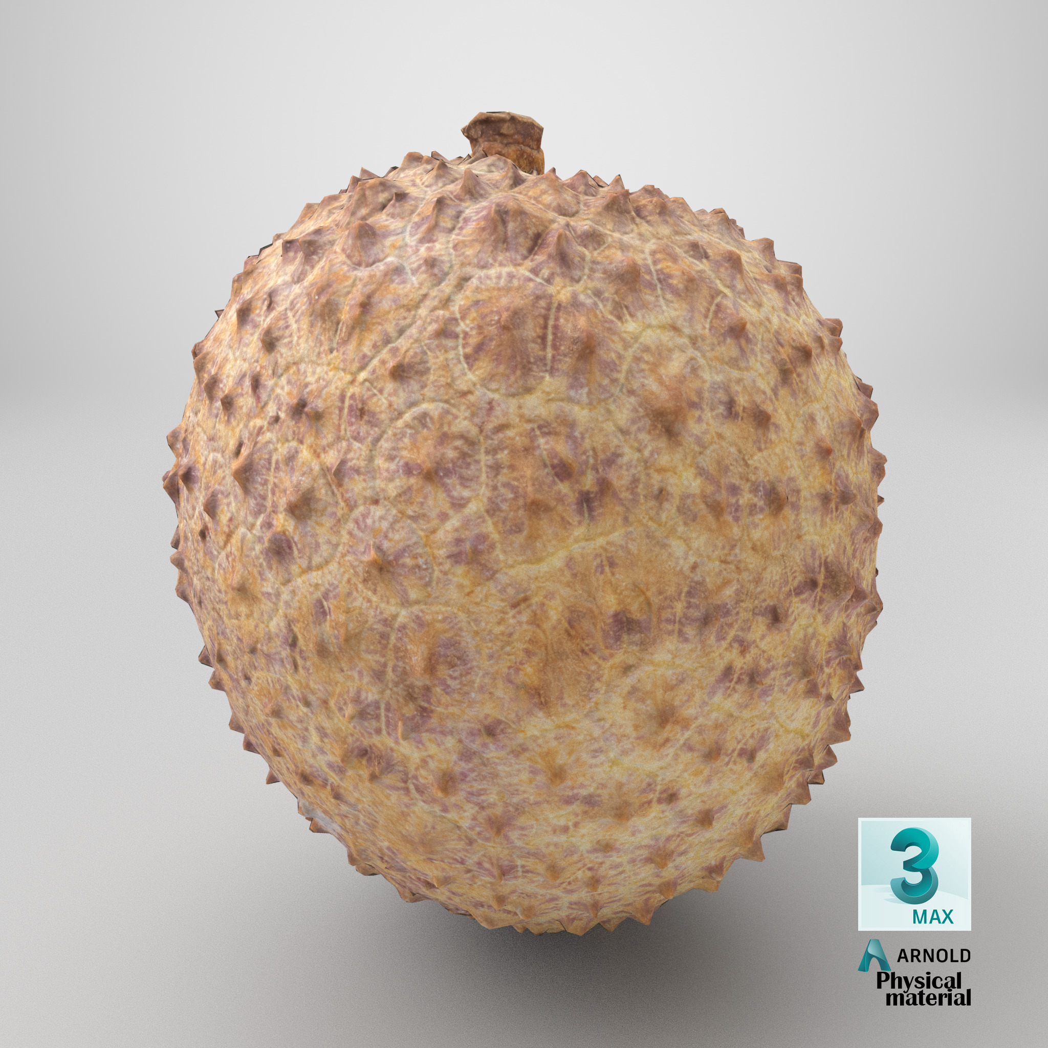 Lychee 001 Low-poly 3D model_10