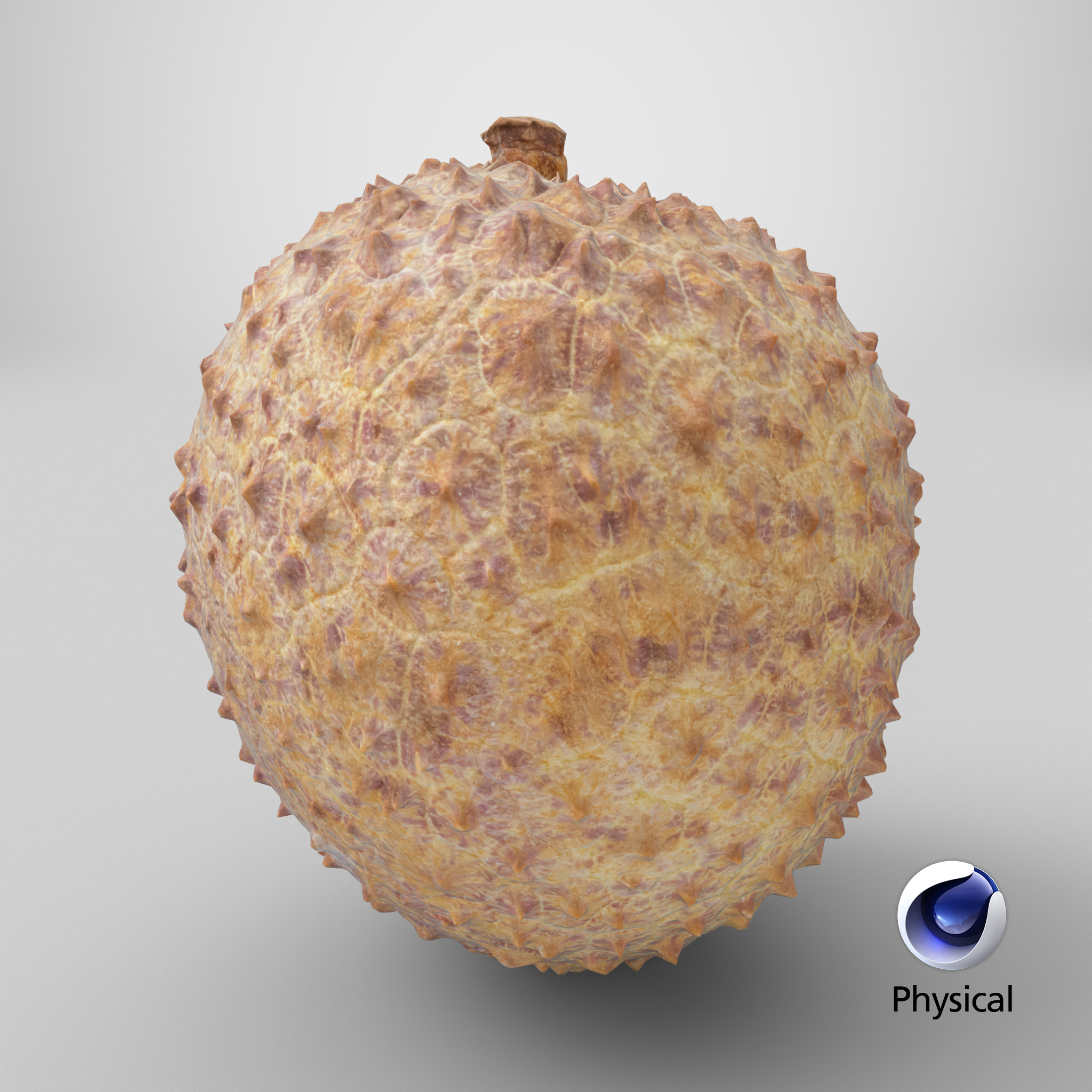 Lychee 001 Low-poly 3D model_8