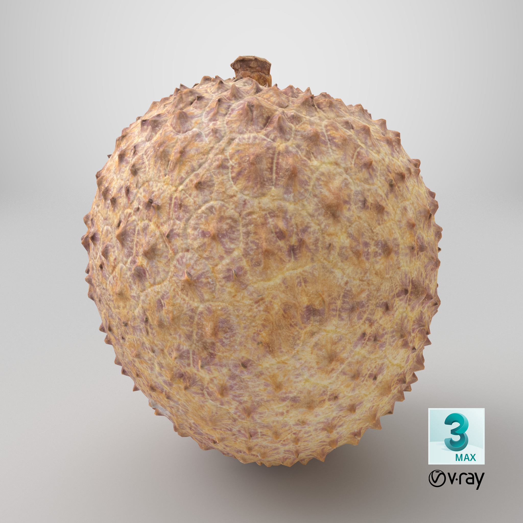 Lychee 001 Low-poly 3D model_11
