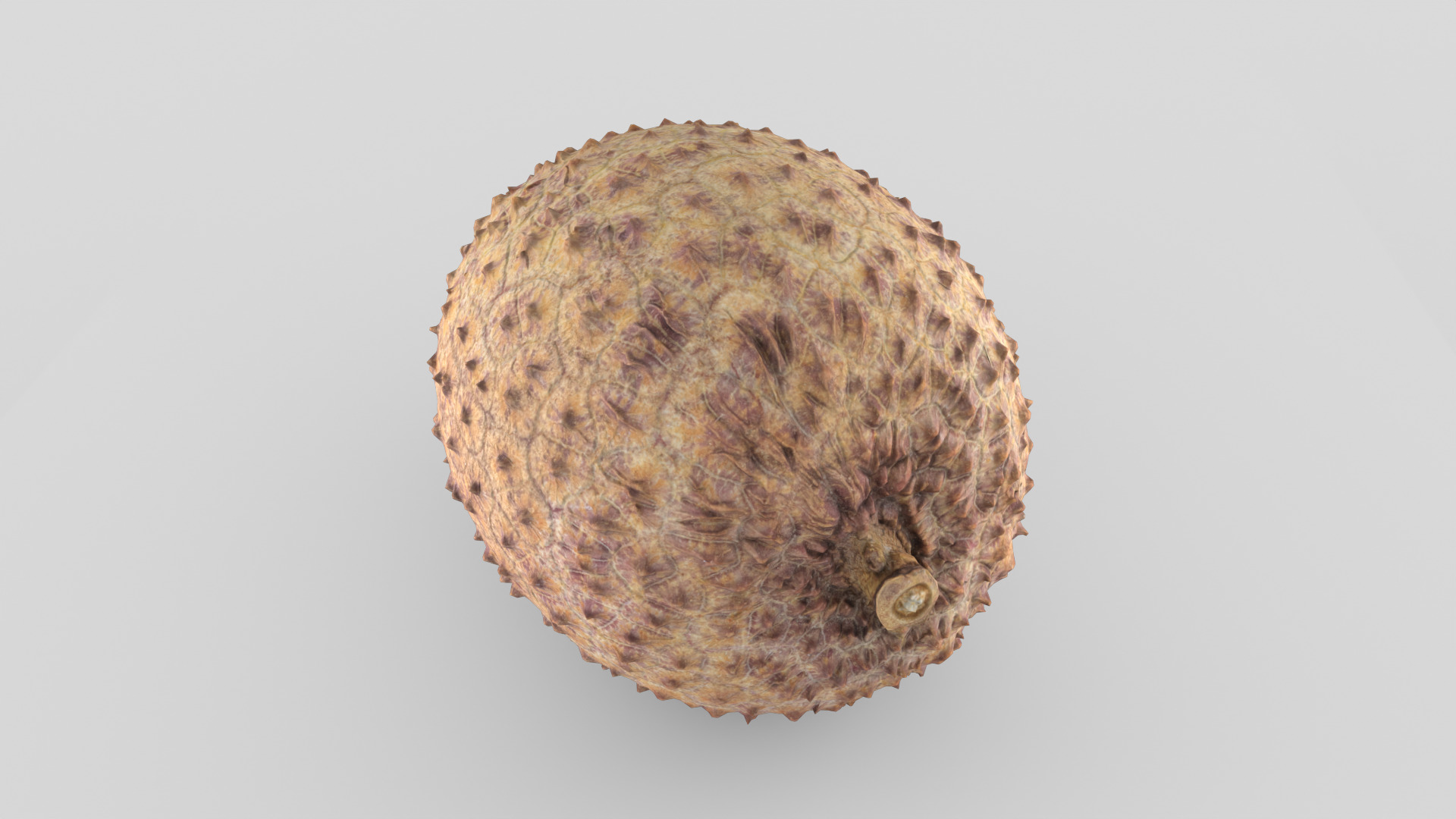 Lychee 001 Low-poly 3D model_1