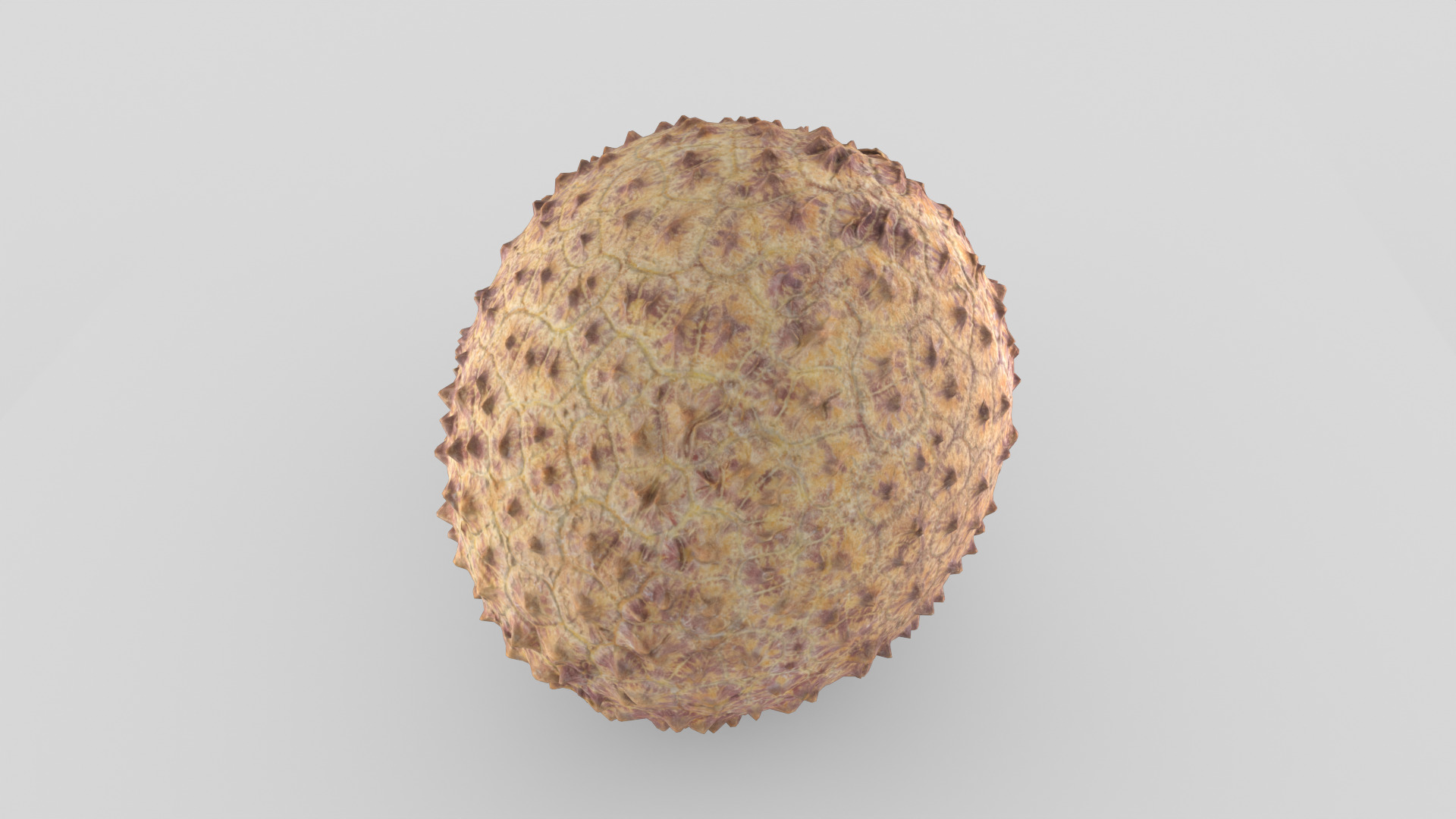 Lychee 001 Low-poly 3D model_2