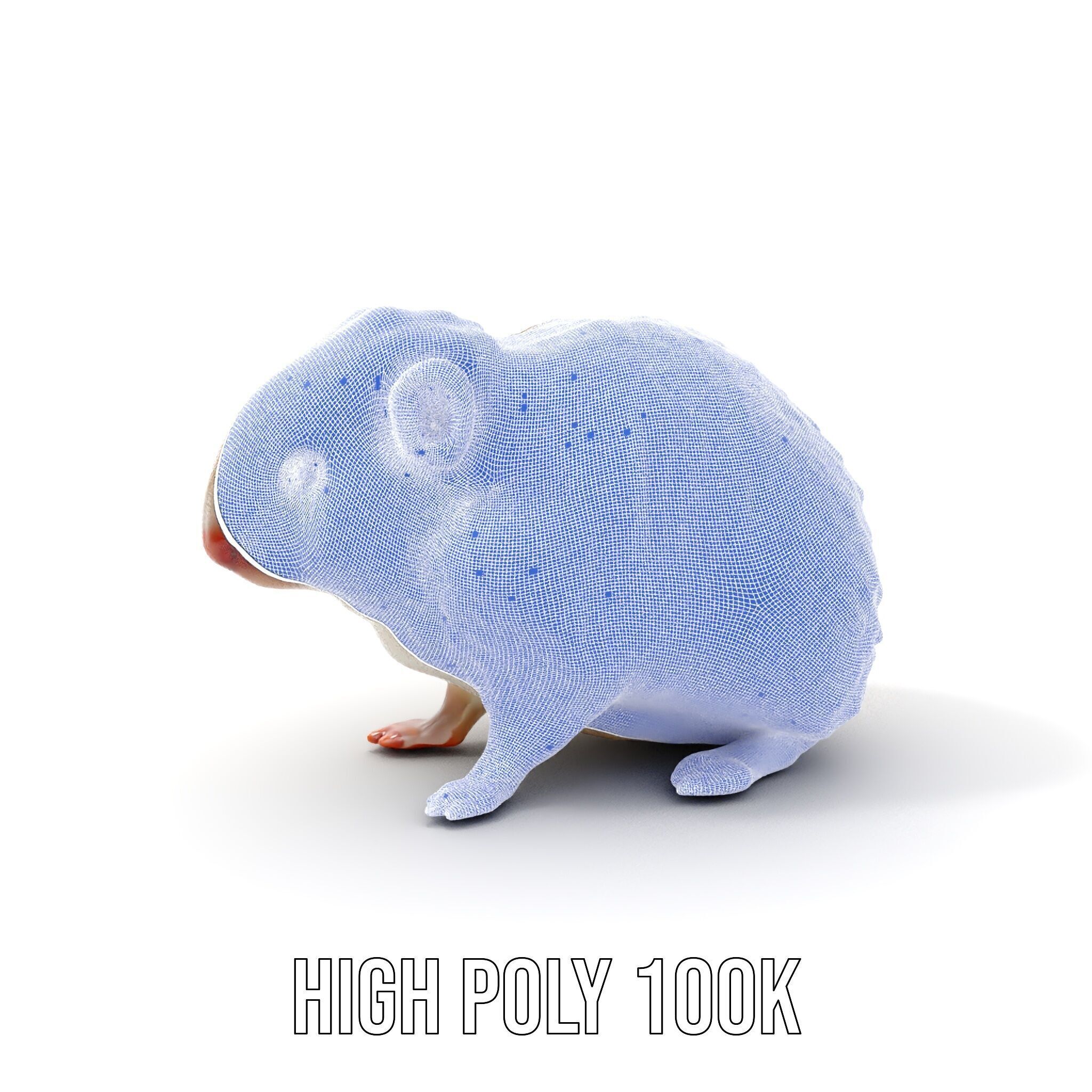Cute Animal Model Pack for D Rendering and Game Development Low-poly 3D model_5