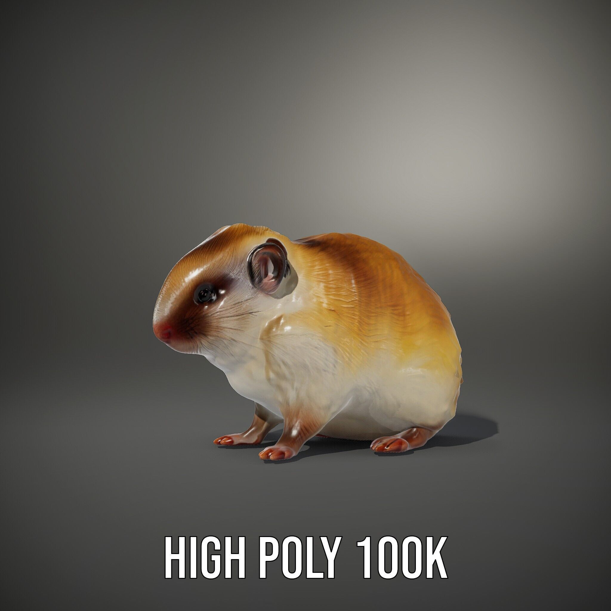 Cute Animal Model Pack for D Rendering and Game Development Low-poly 3D model_15