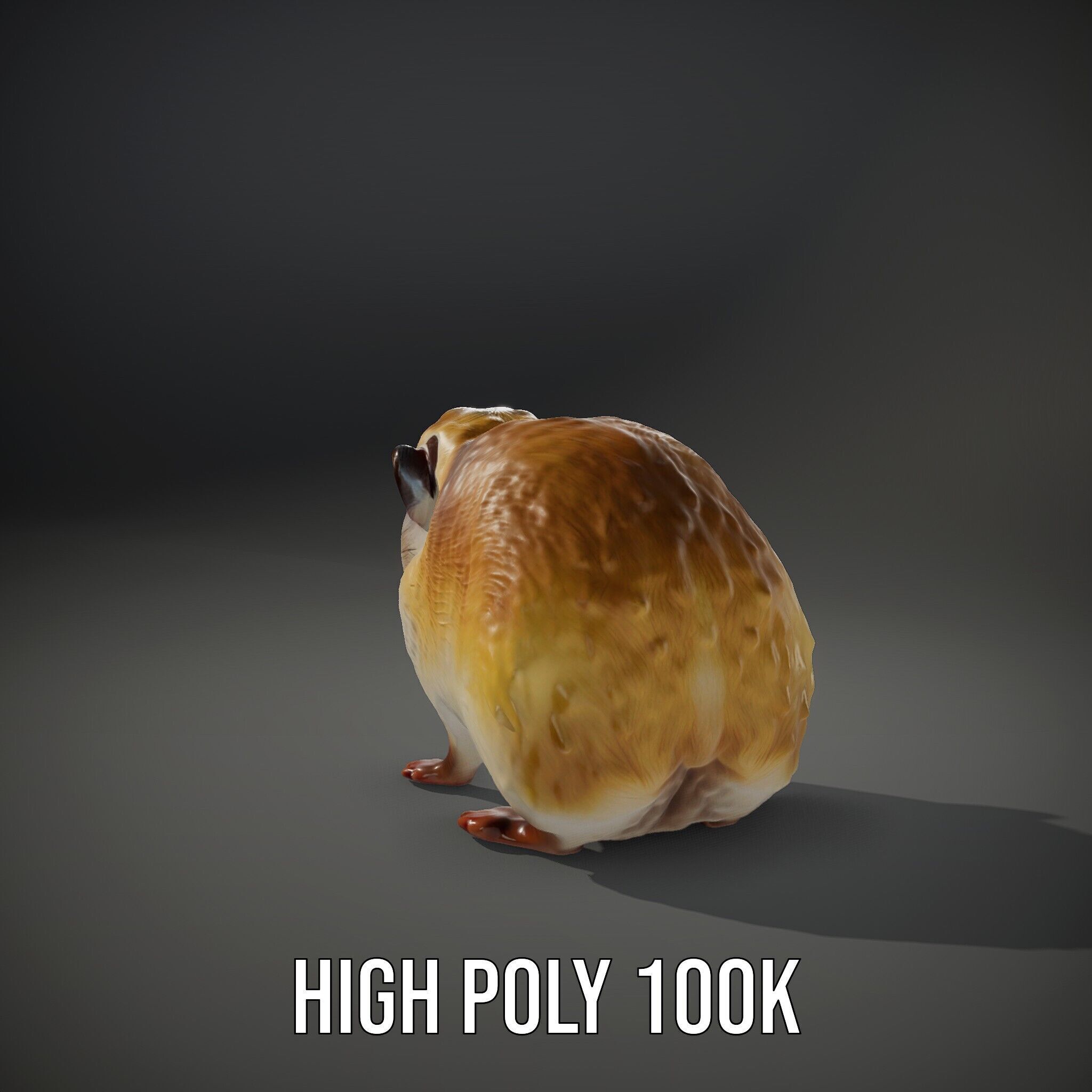 Cute Animal Model Pack for D Rendering and Game Development Low-poly 3D model_12