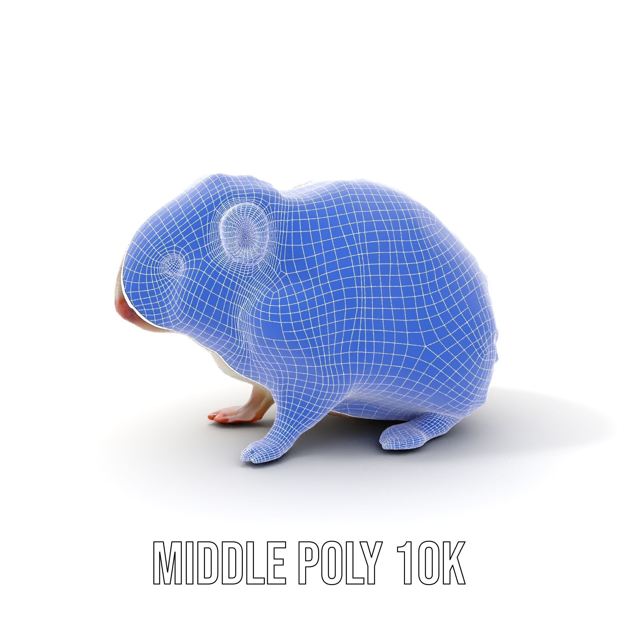 Cute Animal Model Pack for D Rendering and Game Development Low-poly 3D model_31