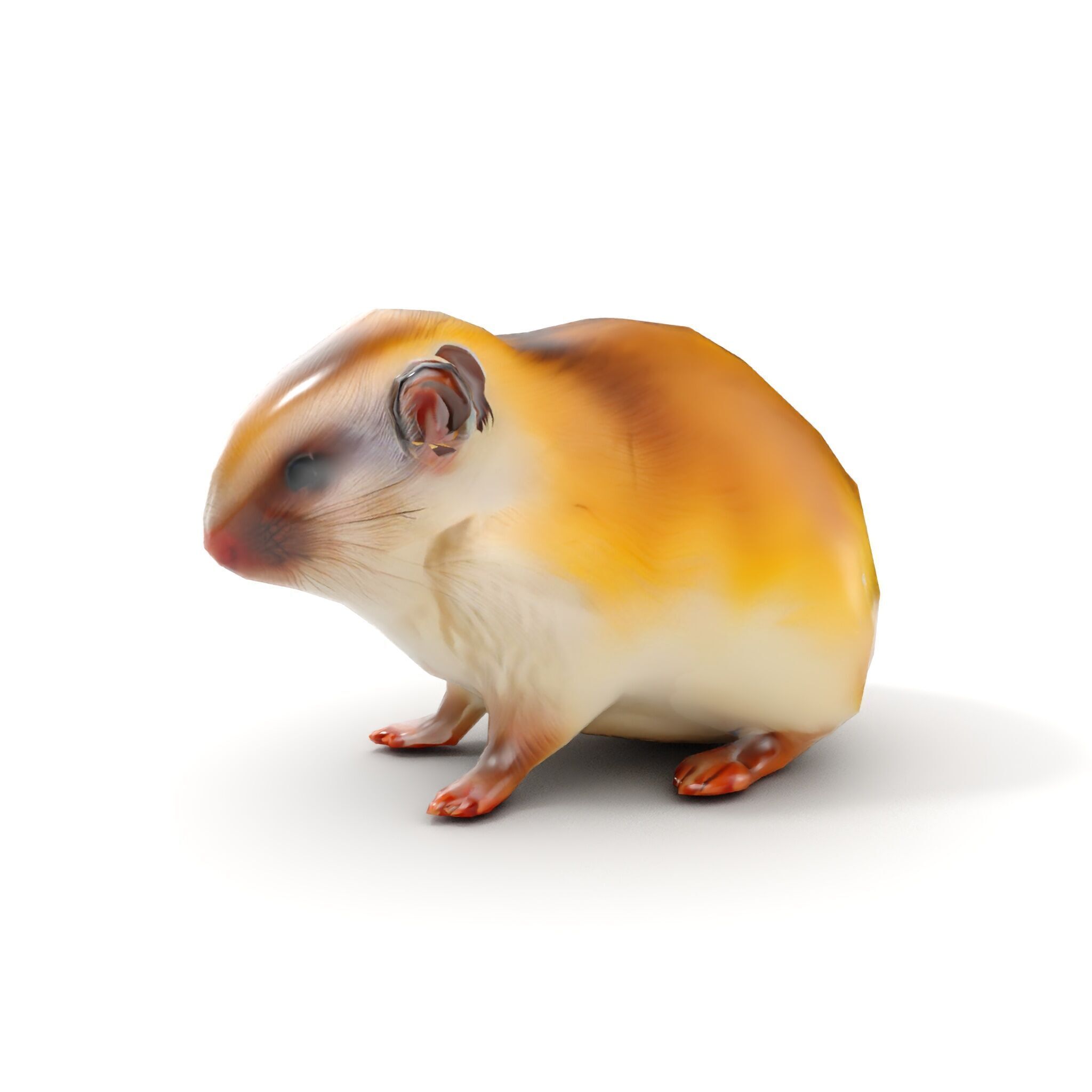 Cute Animal Model Pack for D Rendering and Game Development Low-poly 3D model_8