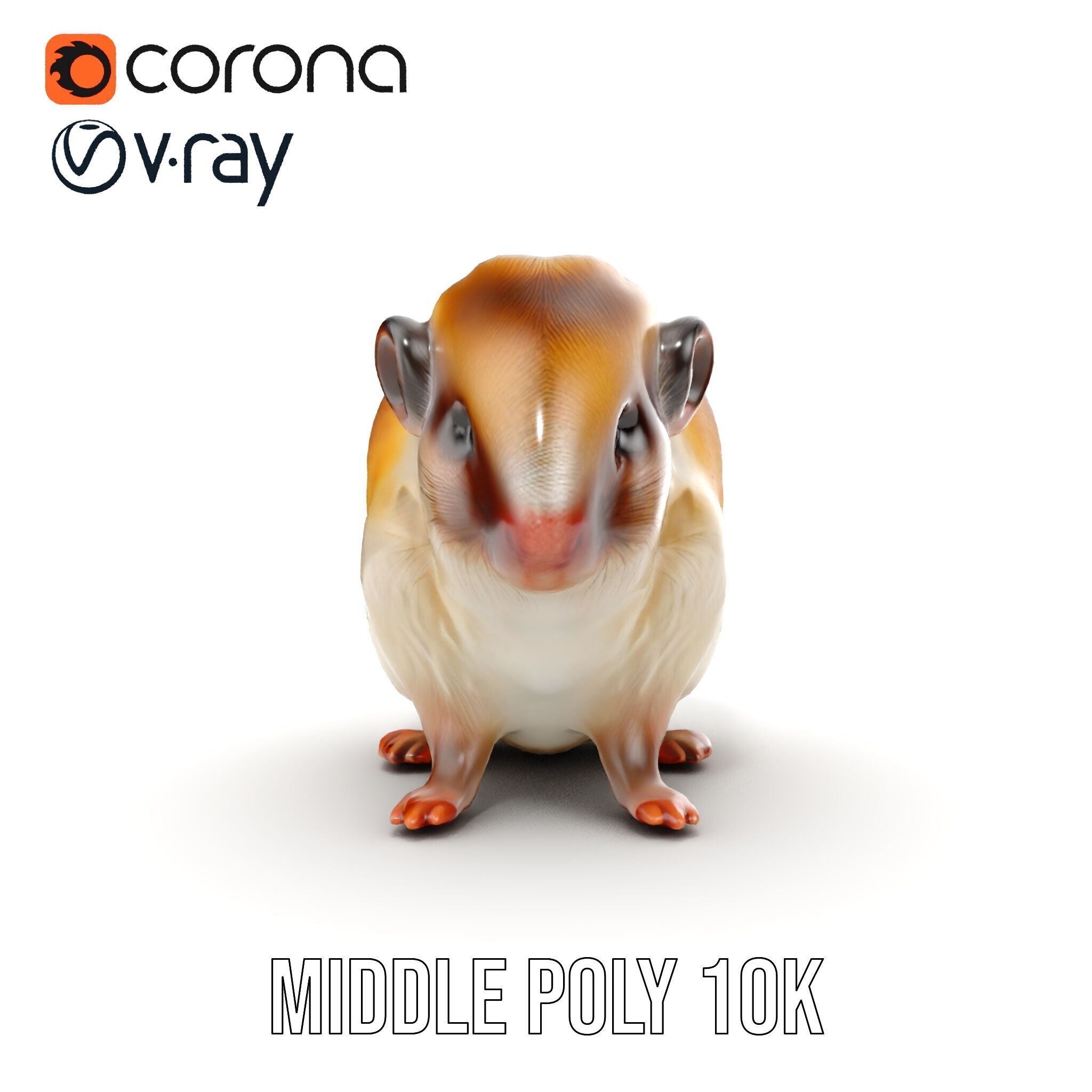 Cute Animal Model Pack for D Rendering and Game Development Low-poly 3D model_18