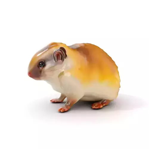 Cute Animal Model Pack for D Rendering and Game Development Low-poly 3D model