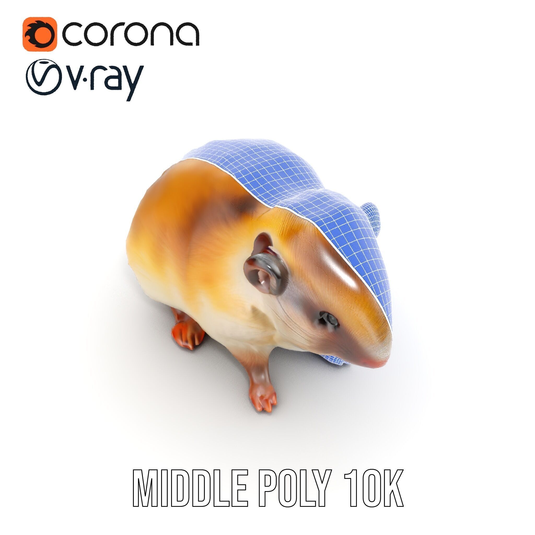 Cute Animal Model Pack for D Rendering and Game Development Low-poly 3D model_21