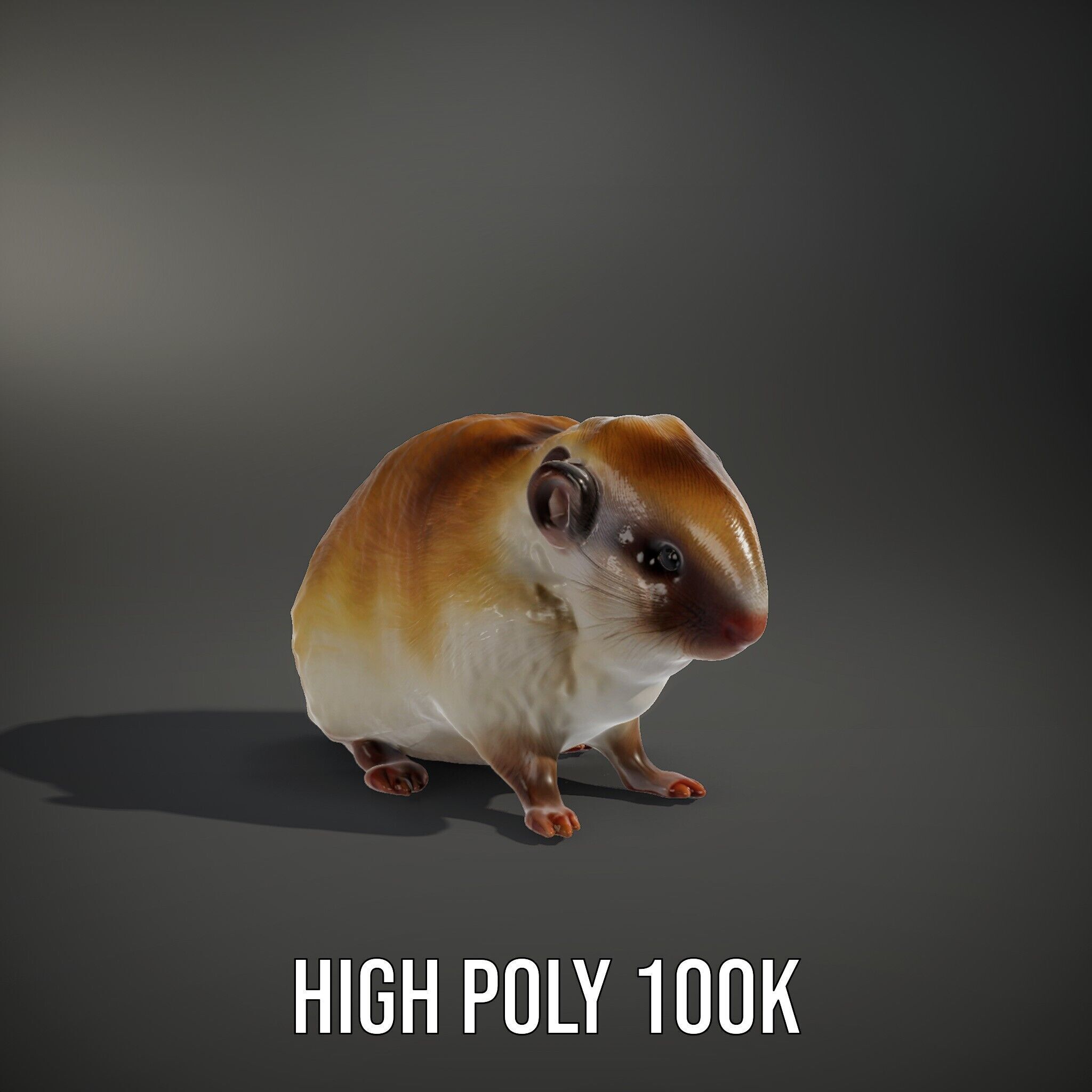 Cute Animal Model Pack for D Rendering and Game Development Low-poly 3D model_9